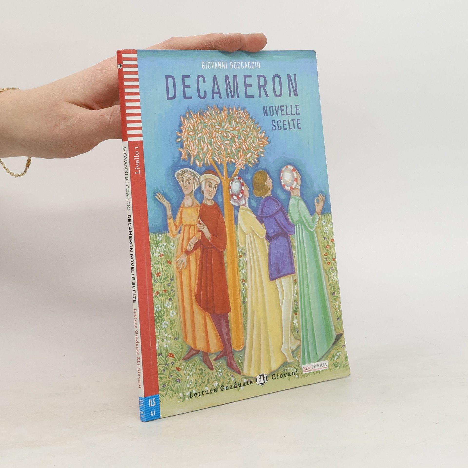 Giorgio Massei Decameron : novelle scelte
