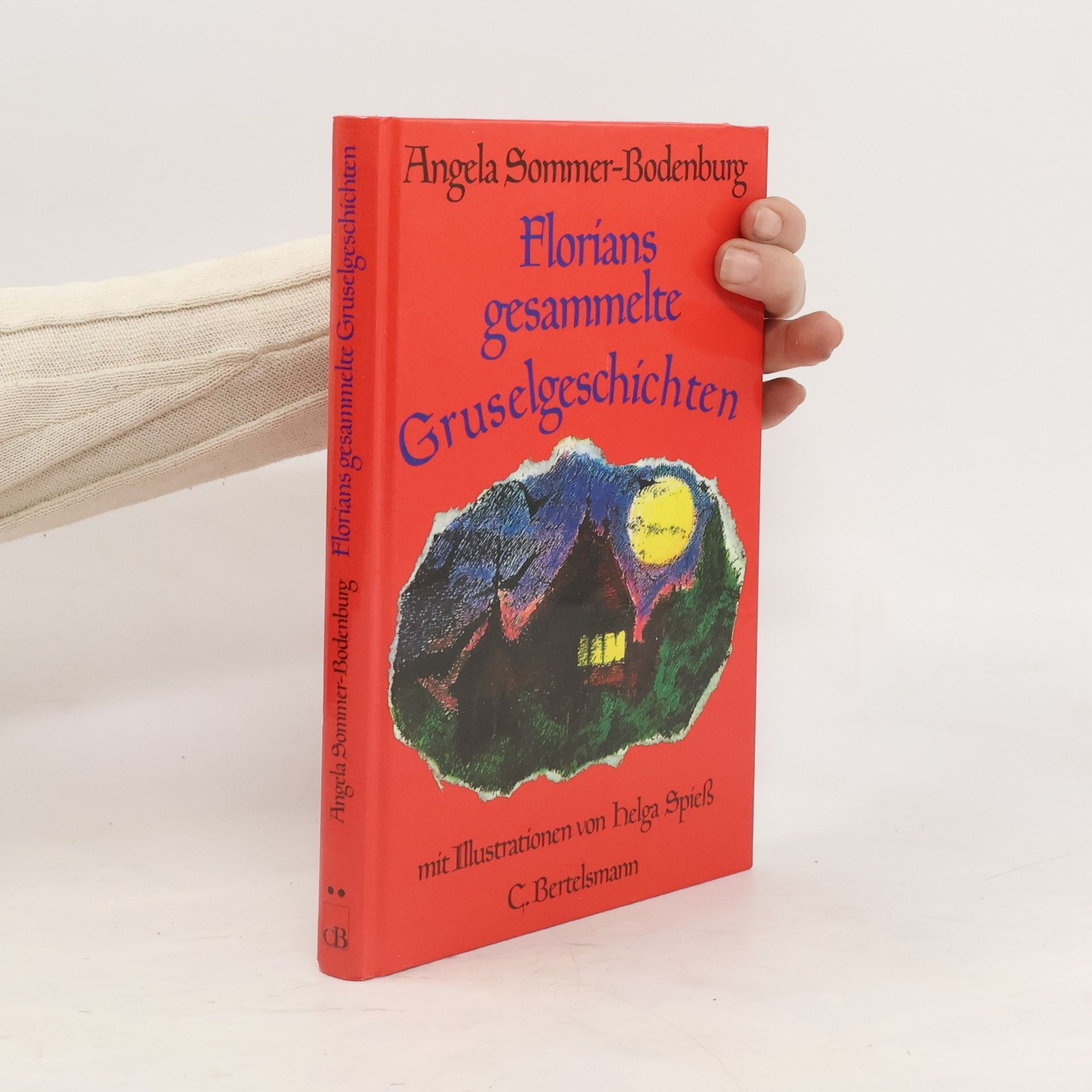 Angela Sommer Bodenburg Florians gesammelte Gruselgeschichten