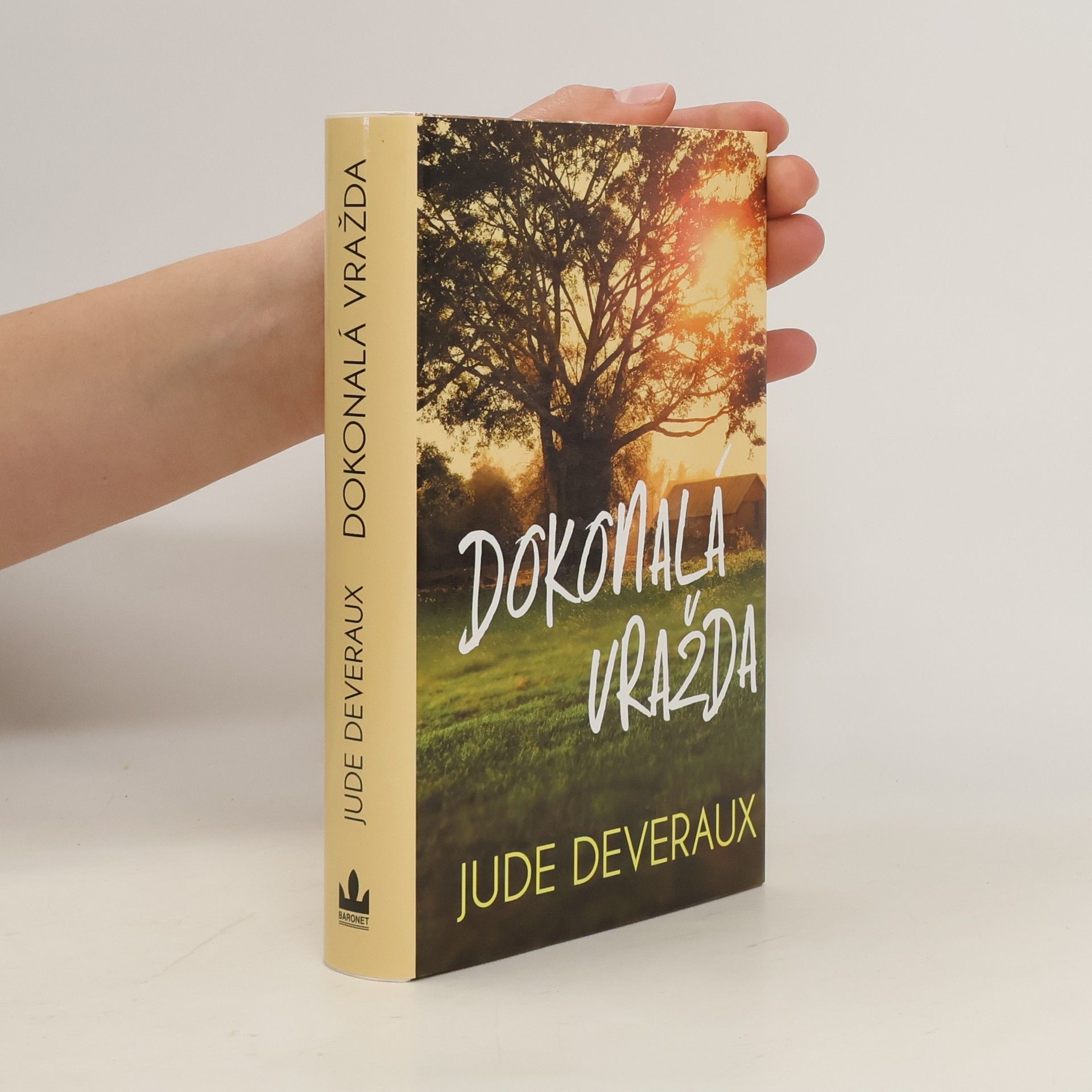 Jude Deveraux Dokonalá vražda