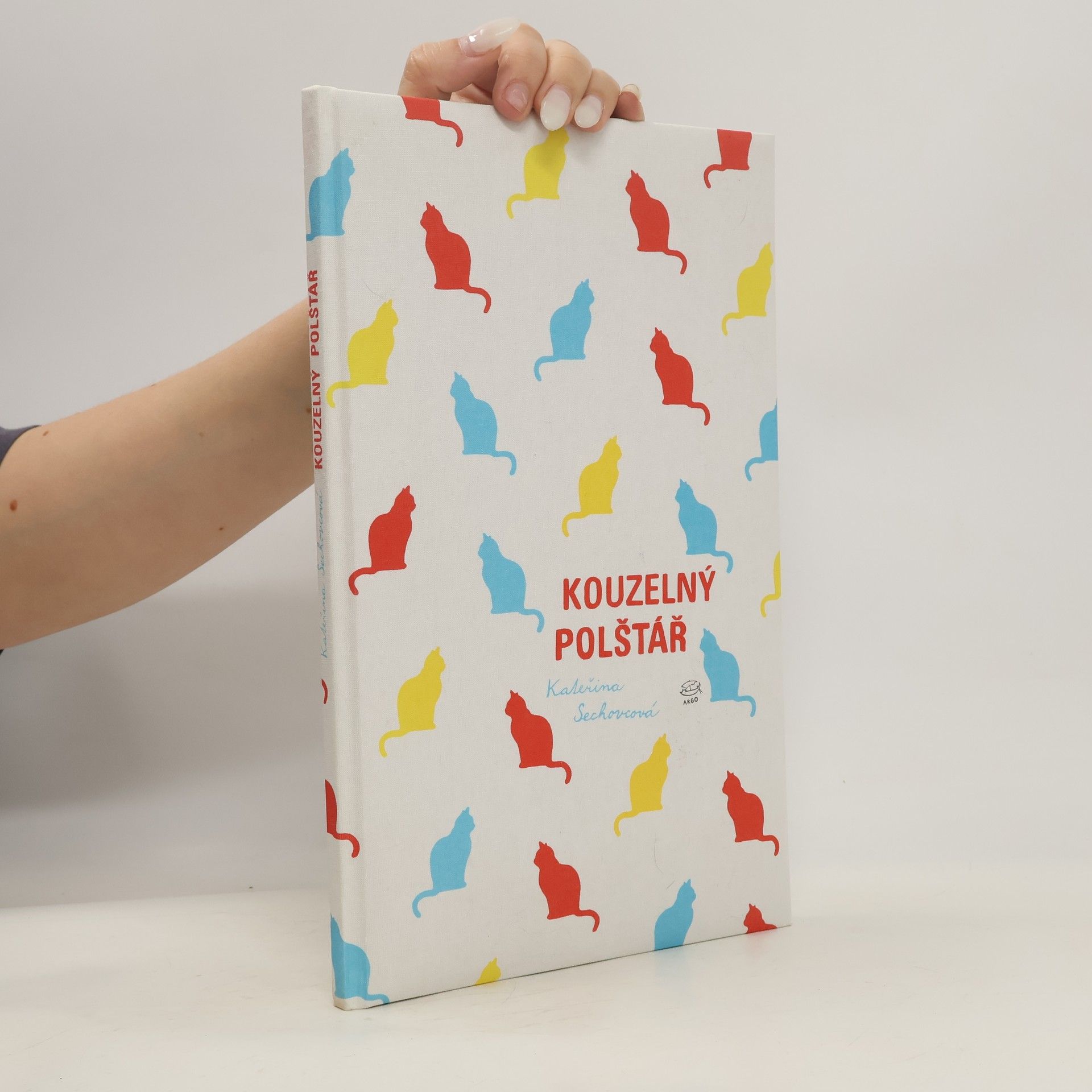 Kateřina Sechovcová Kouzelný polštář