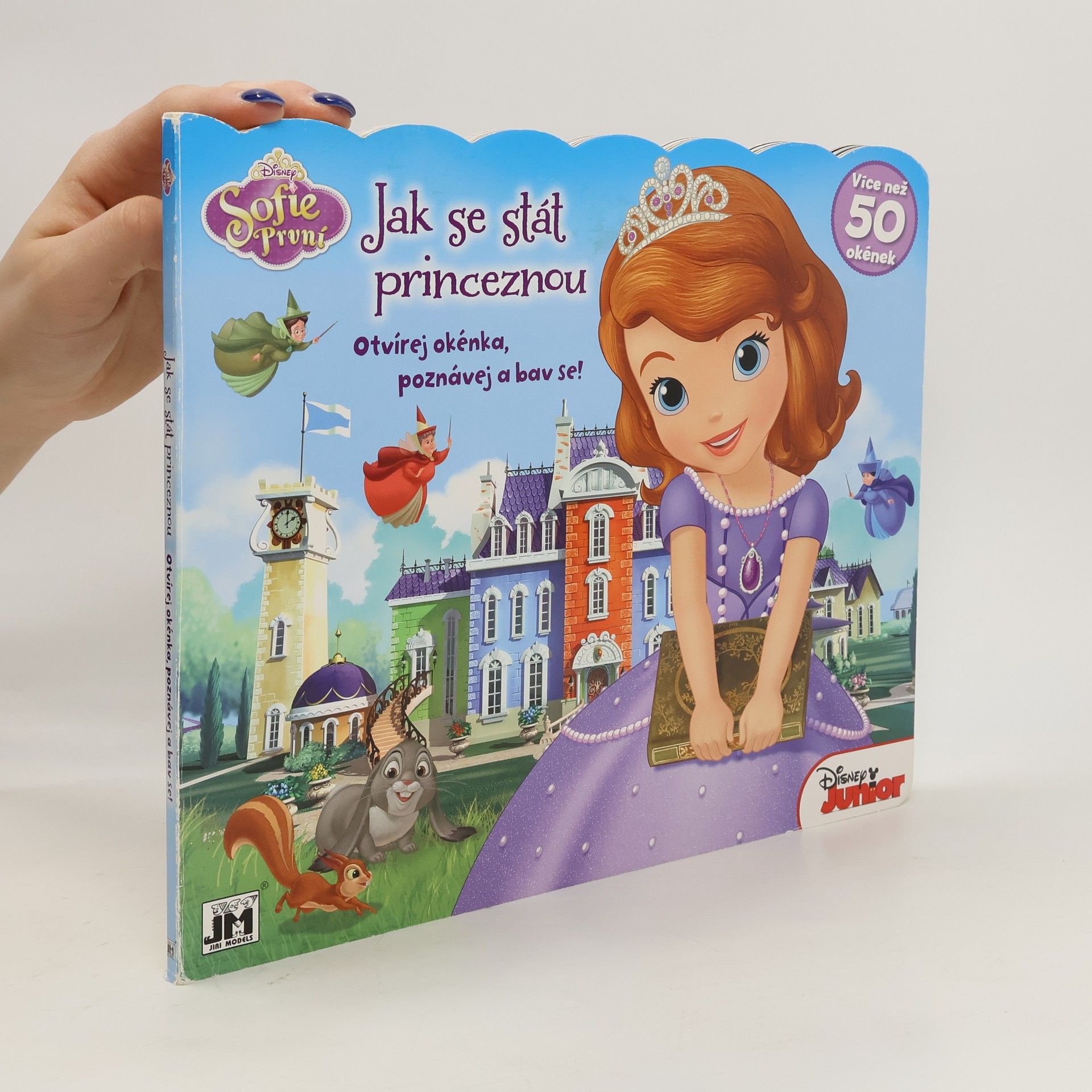 kolektiv Jak se stát princeznou