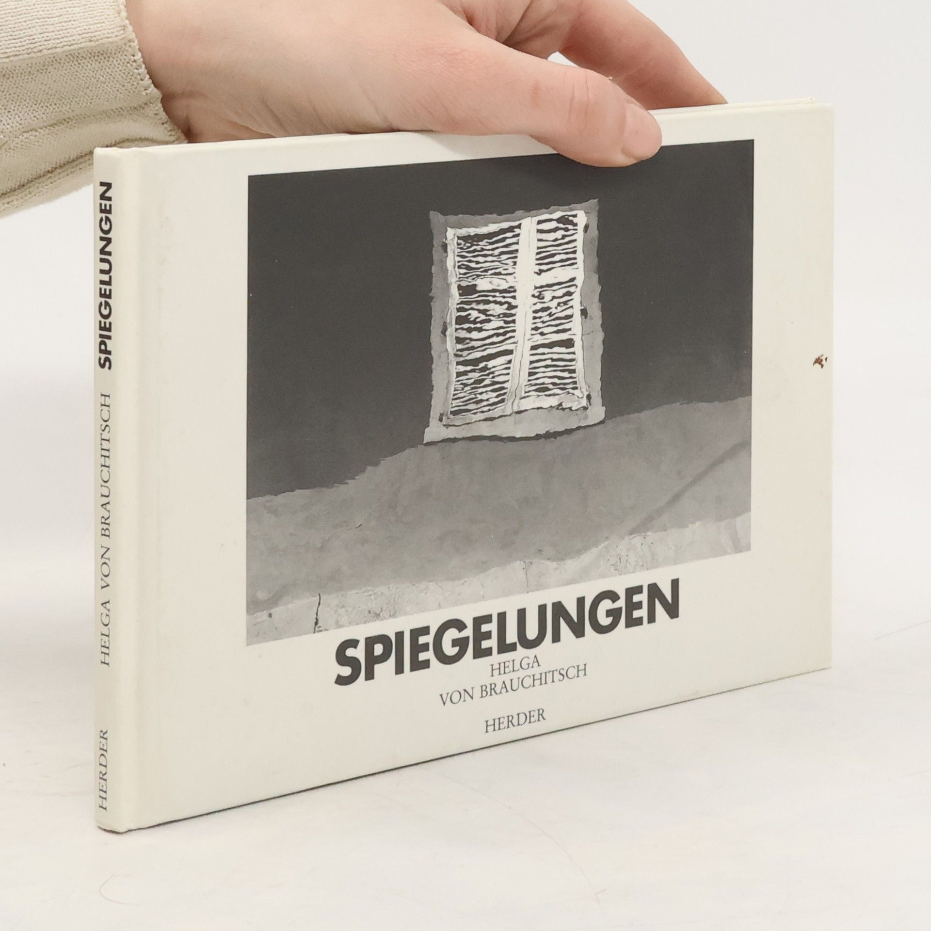 Helga von Brauchitsch Spiegelungen