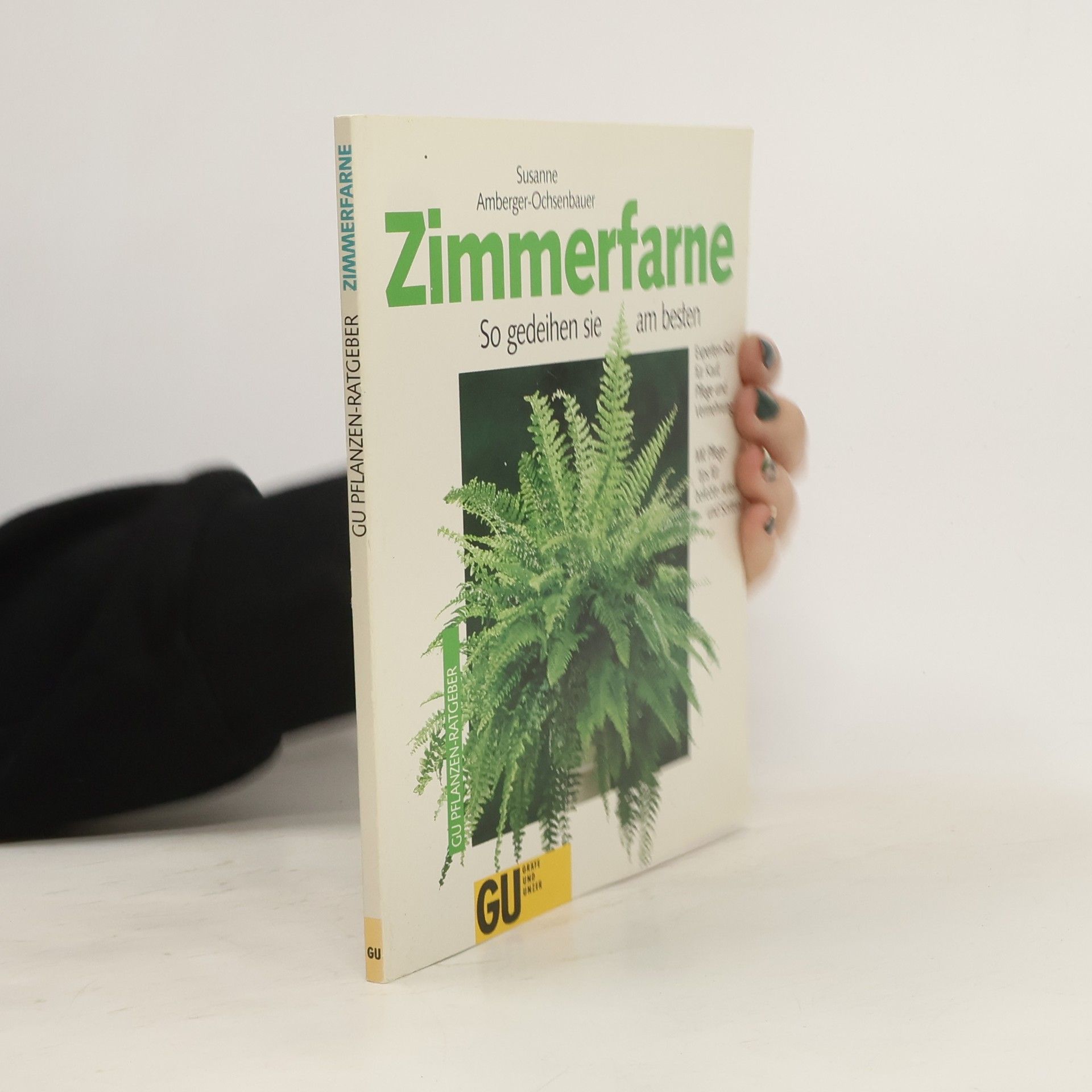 Susanne Ochsenbauer Zimmerfarne