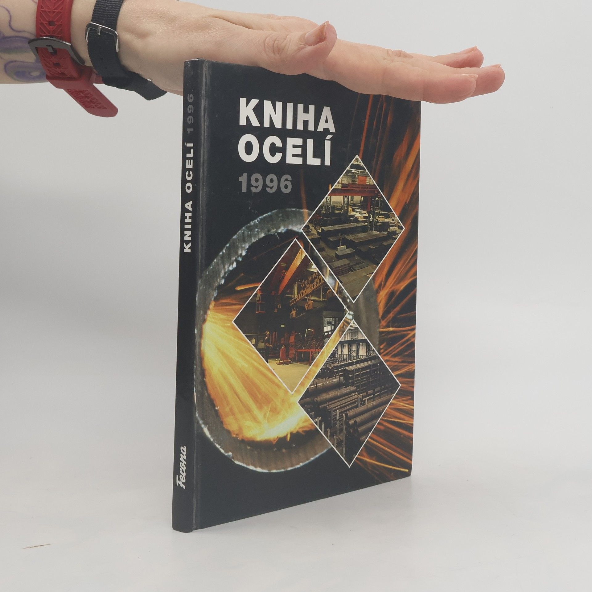 Collectif d'auteurs Kniha ocelí 1996