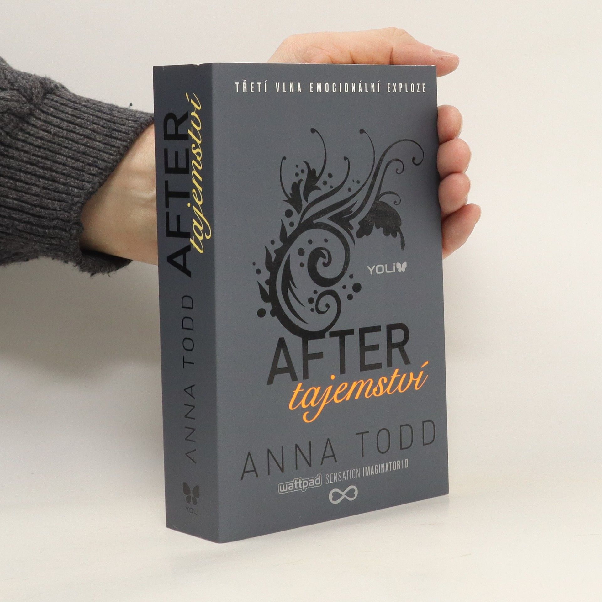 Anna Todd After. Tajemství