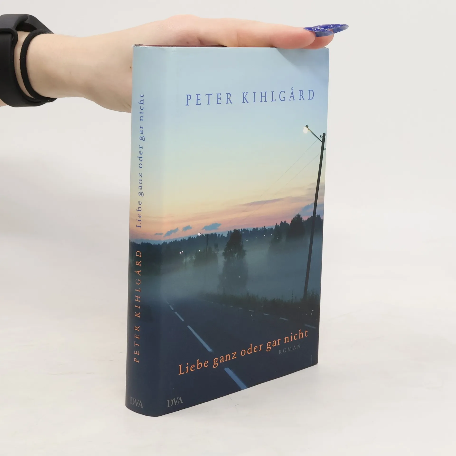 Liebe ganz oder gar nicht | Buch | Peter Kihlgård