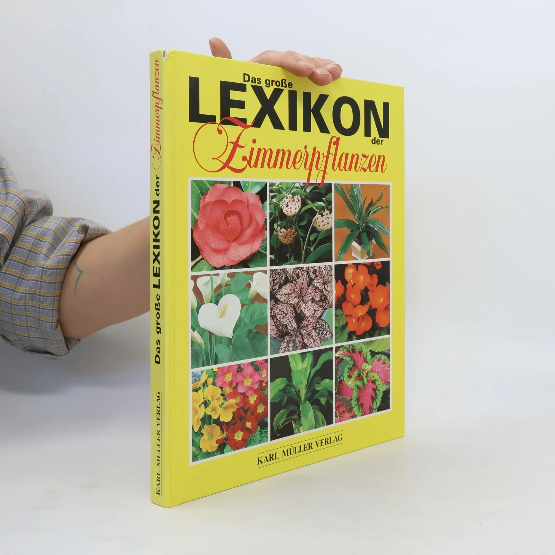 Das große Lexikon der Zimmerpflanzen | Buch | Hardcover | kolektiv