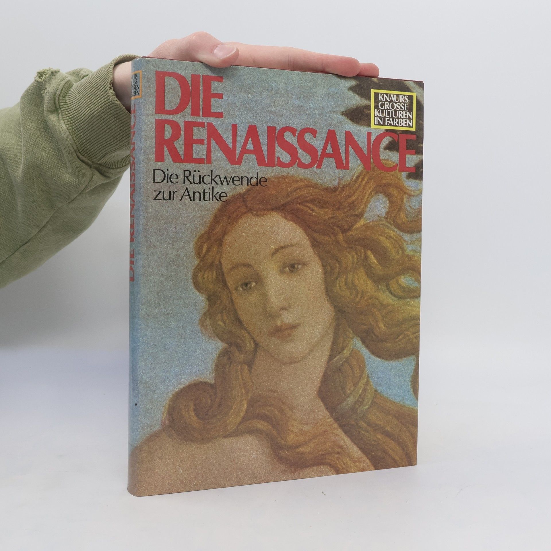 Autores varios Die Renaissance. Die Rückwende zur Antike