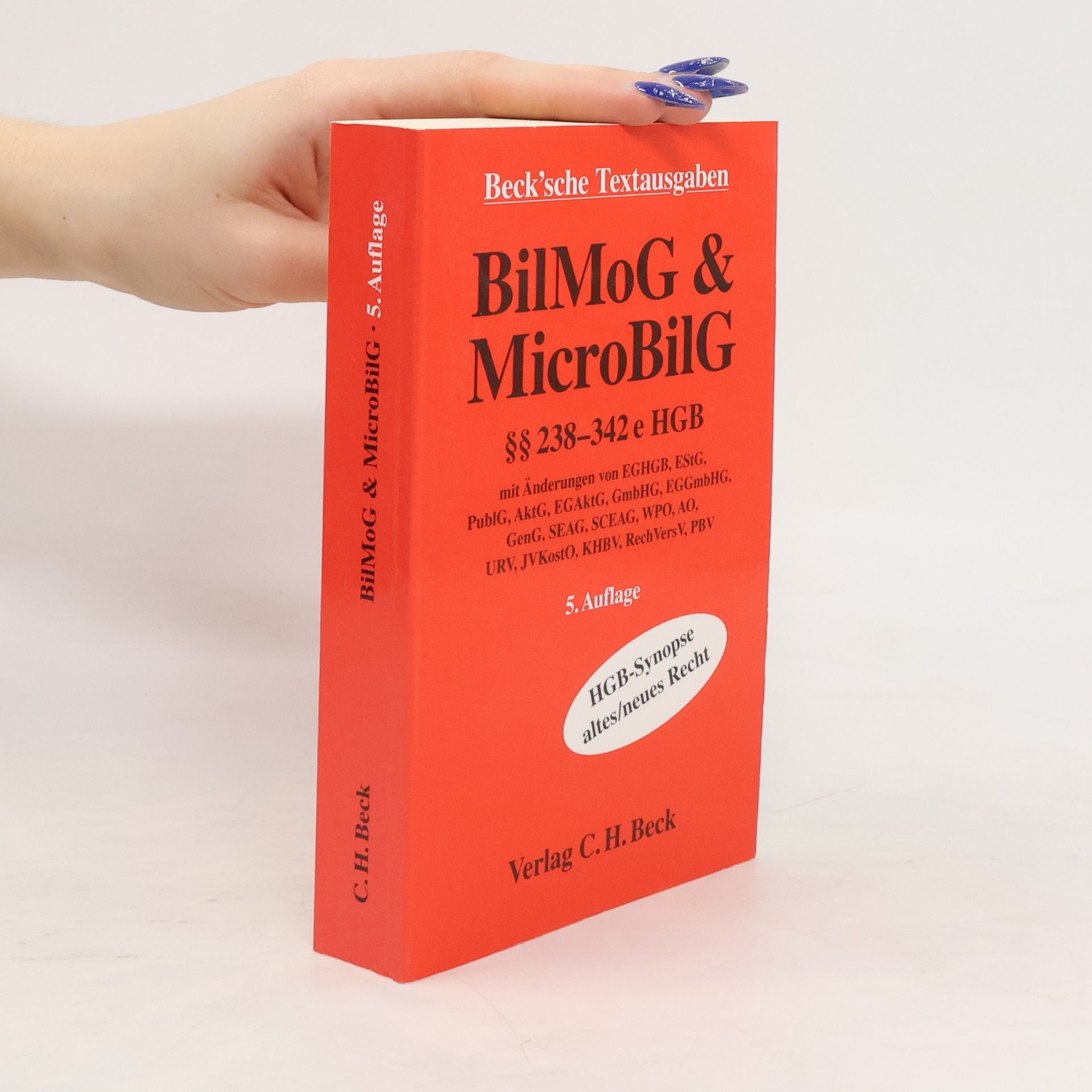 Christian Zwirner BilMoG & MicroBilG