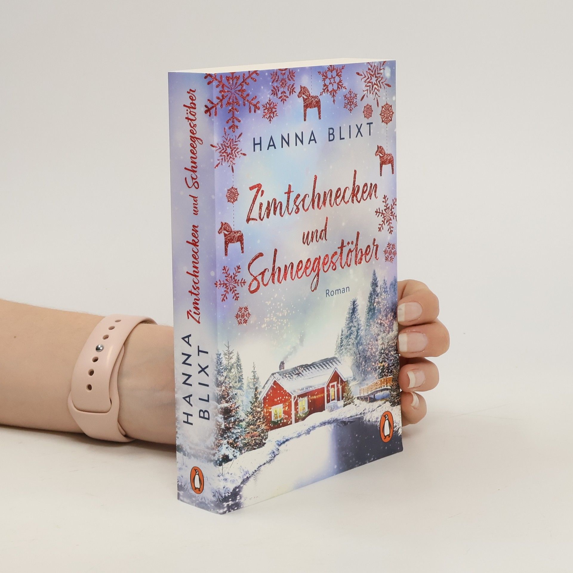 Hanna Blixt Zimtschnecken und Schneegestöber