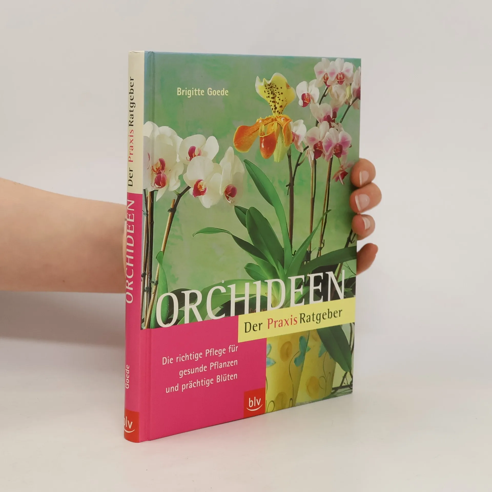 Orchideen | Buch | Brigitte Goede