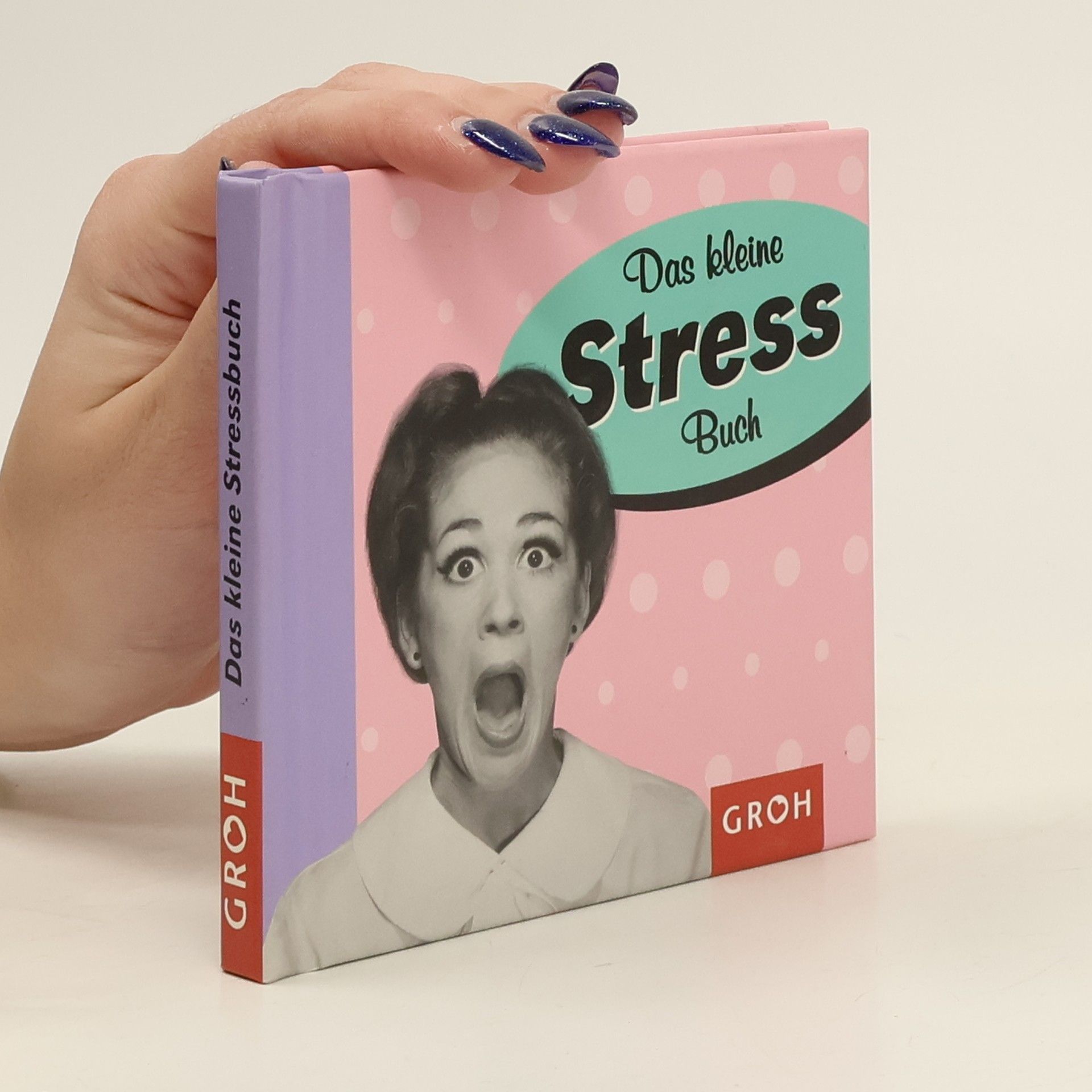 Lilly Brown Das kleine Stressbuch