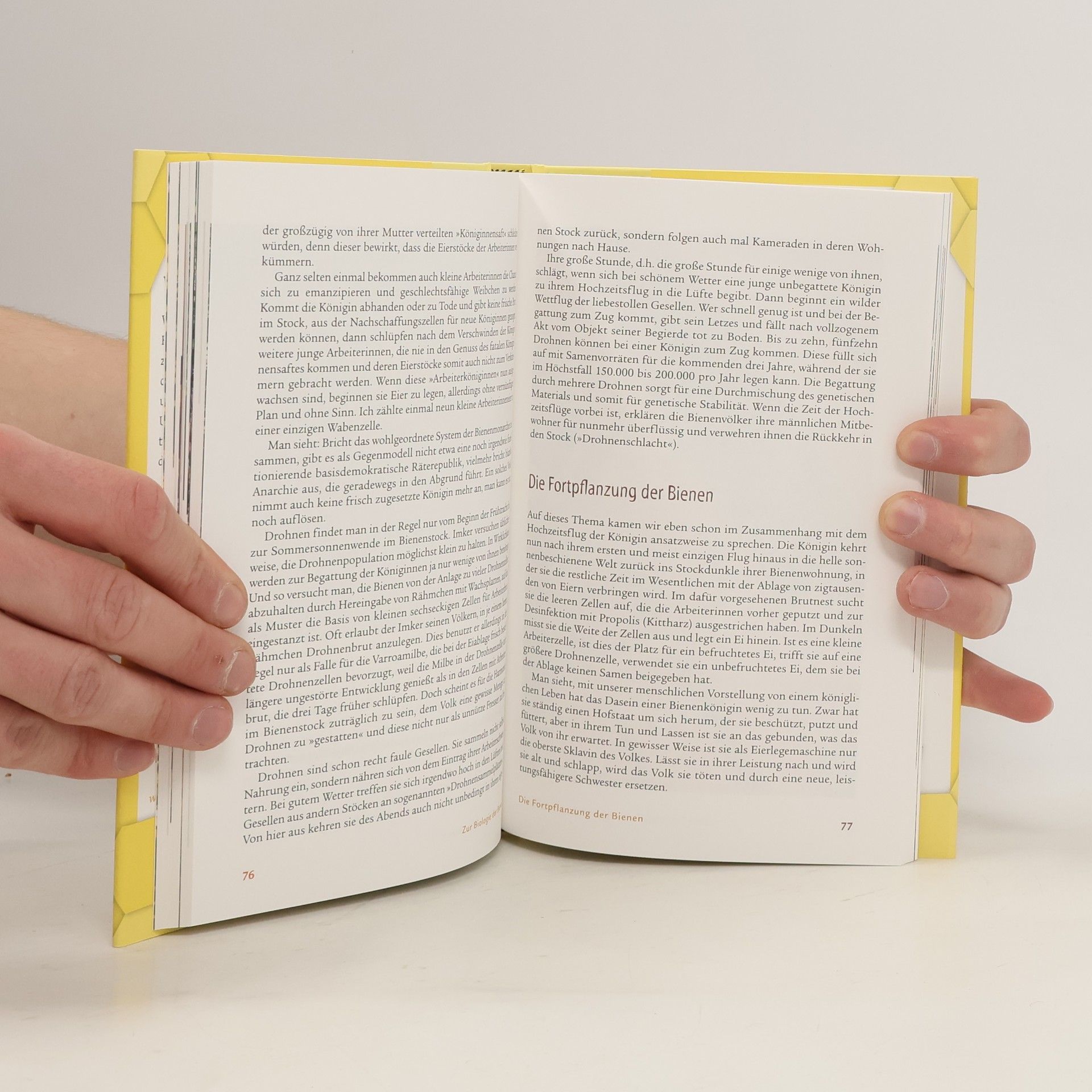 Eckart Brandt Das Bienenbuch vom Apfelmann