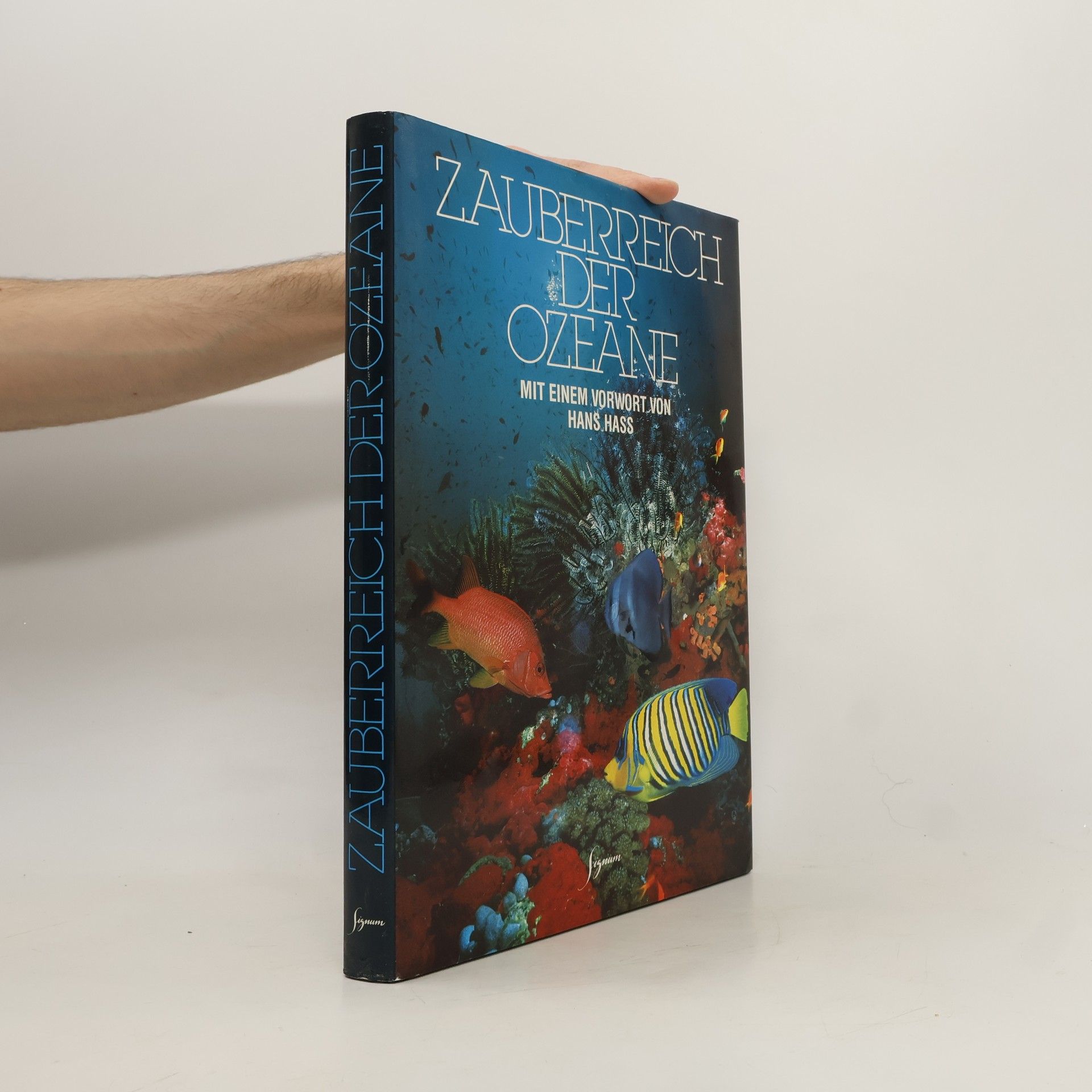 Autorenkollektiv Zauberreich der Ozeane