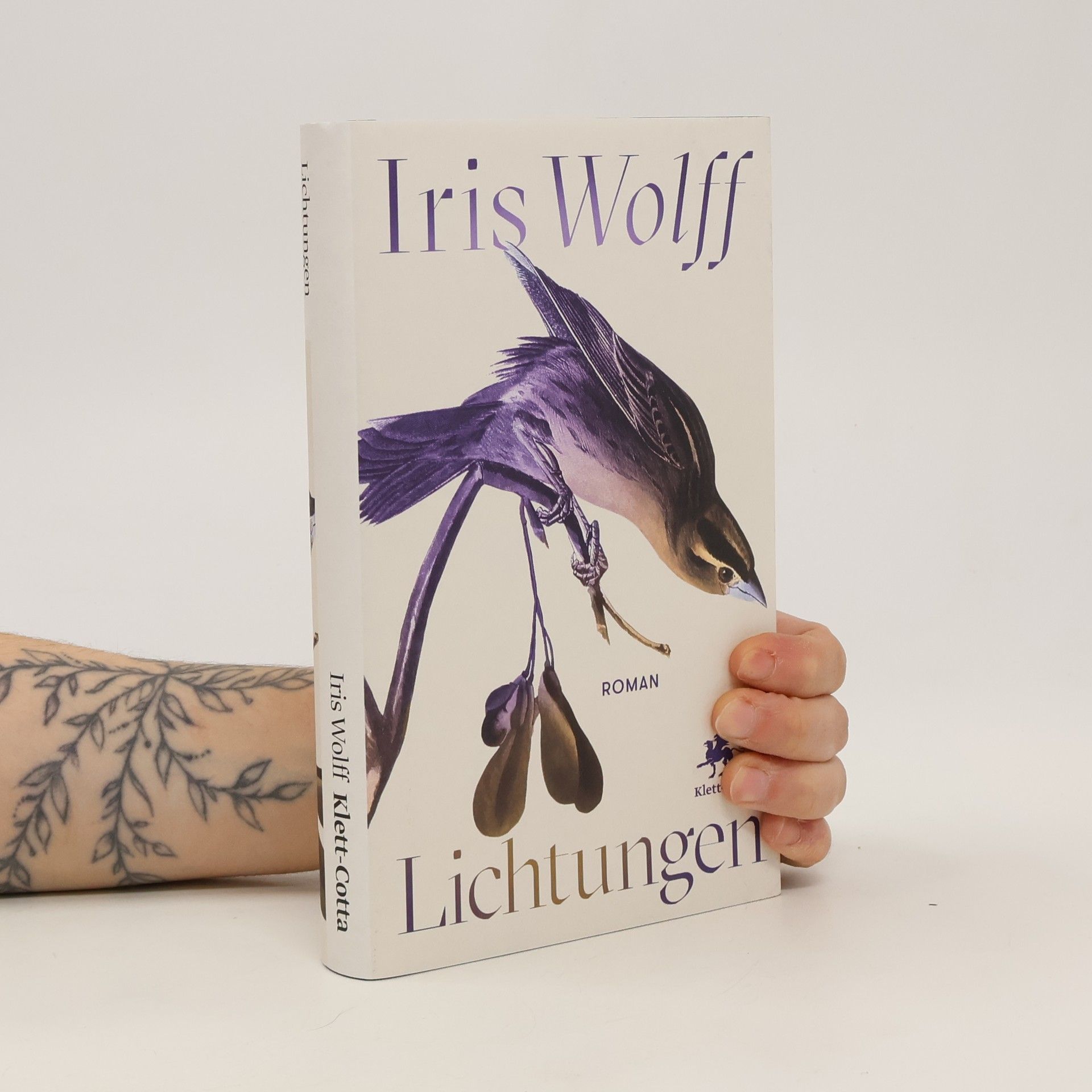 Iris Wolff Lichtungen