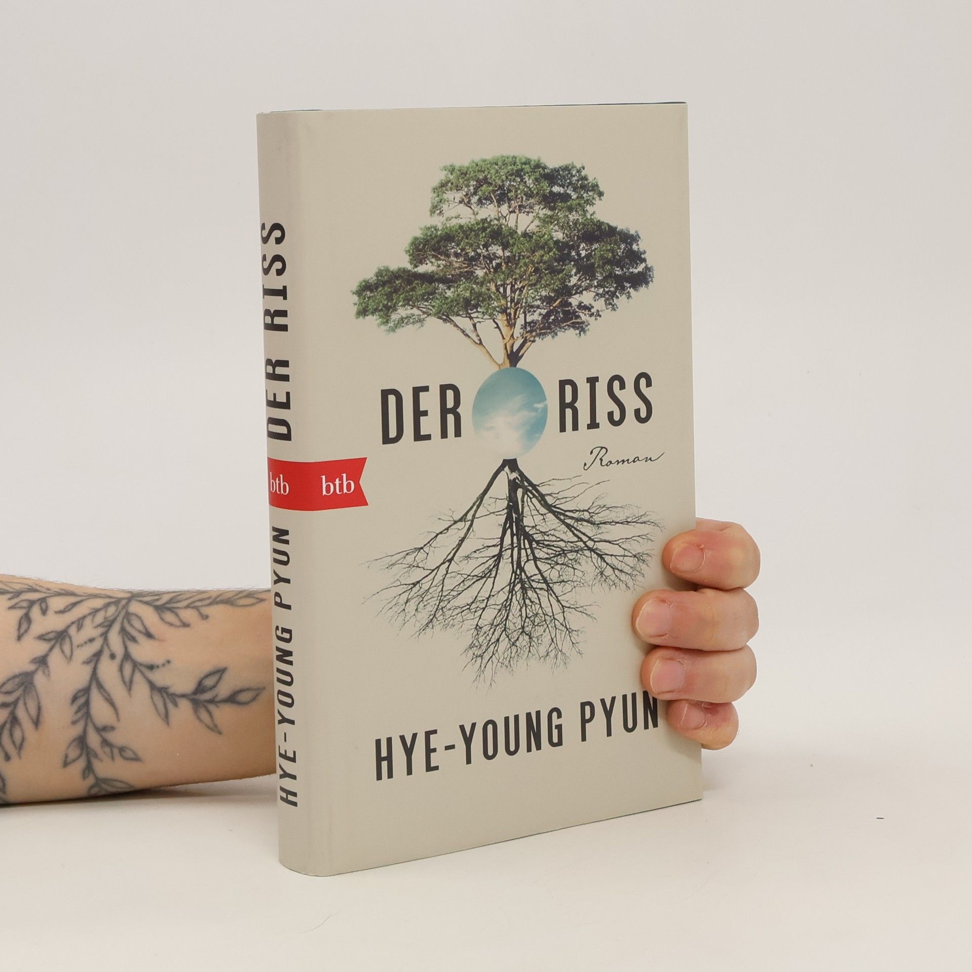 Hye yeong Pyeon Der Riss