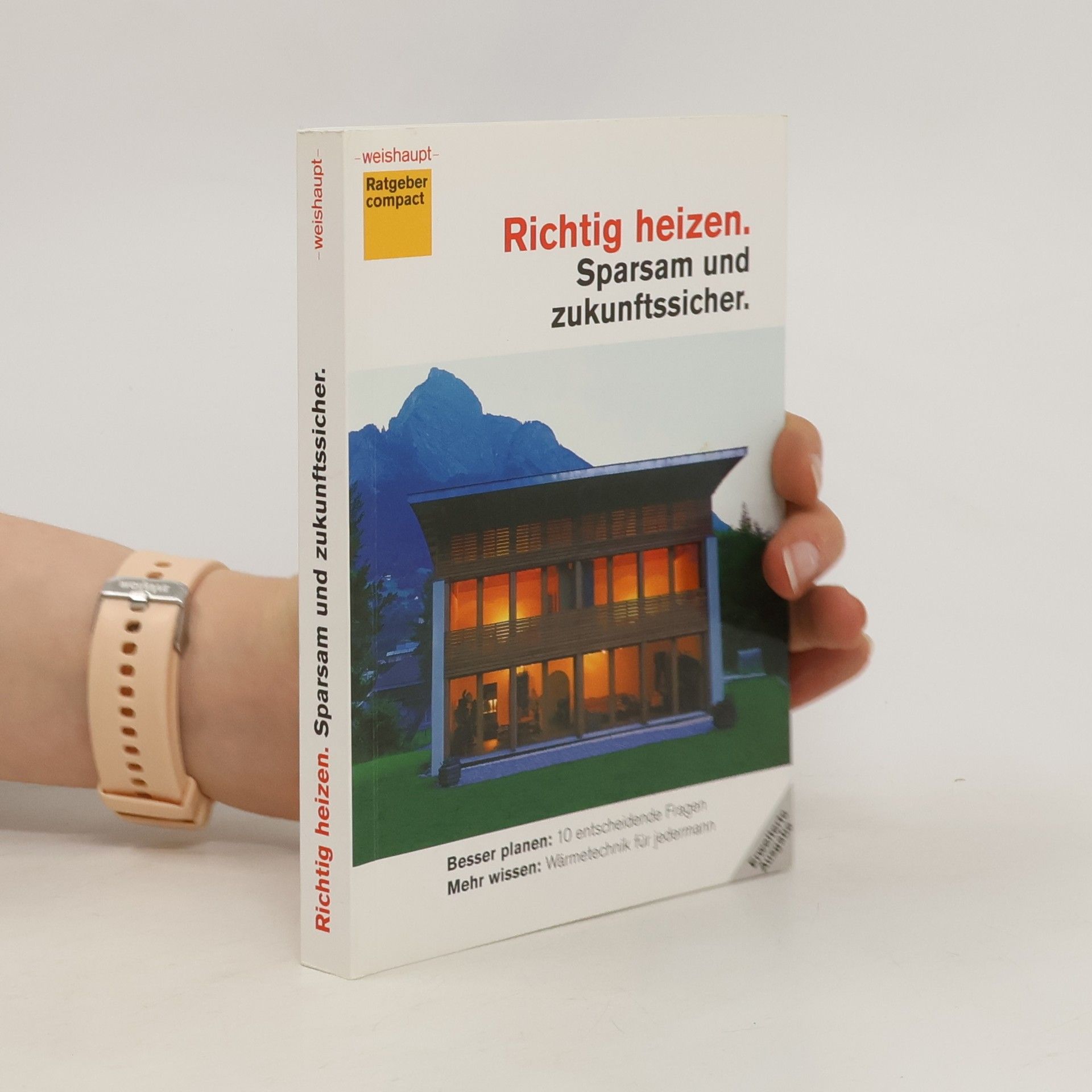 Autorenkollektiv Richtig heizen. Sparsam und zukunftssicher