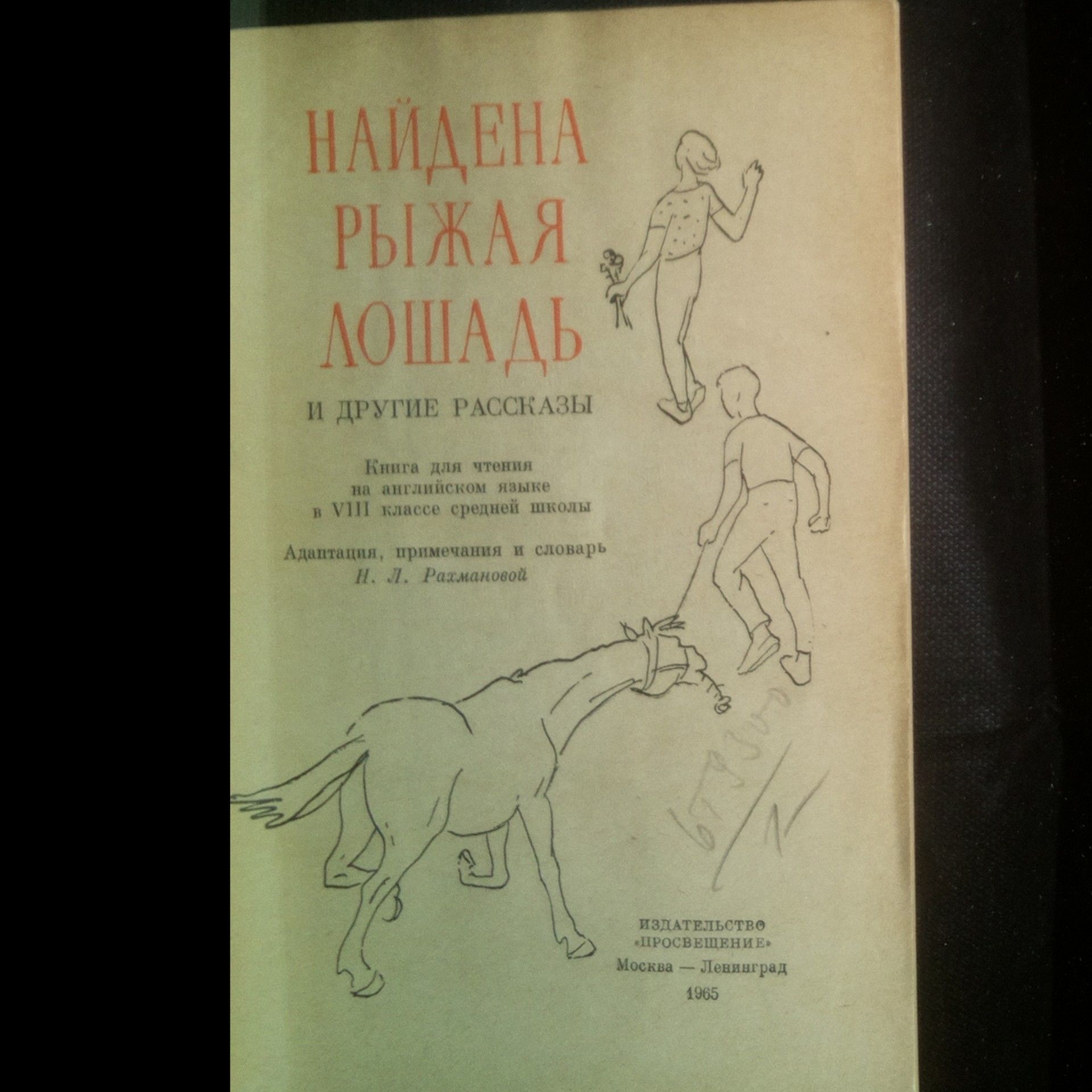 Kolektiv autorů Found: One Orange-Brown Horse