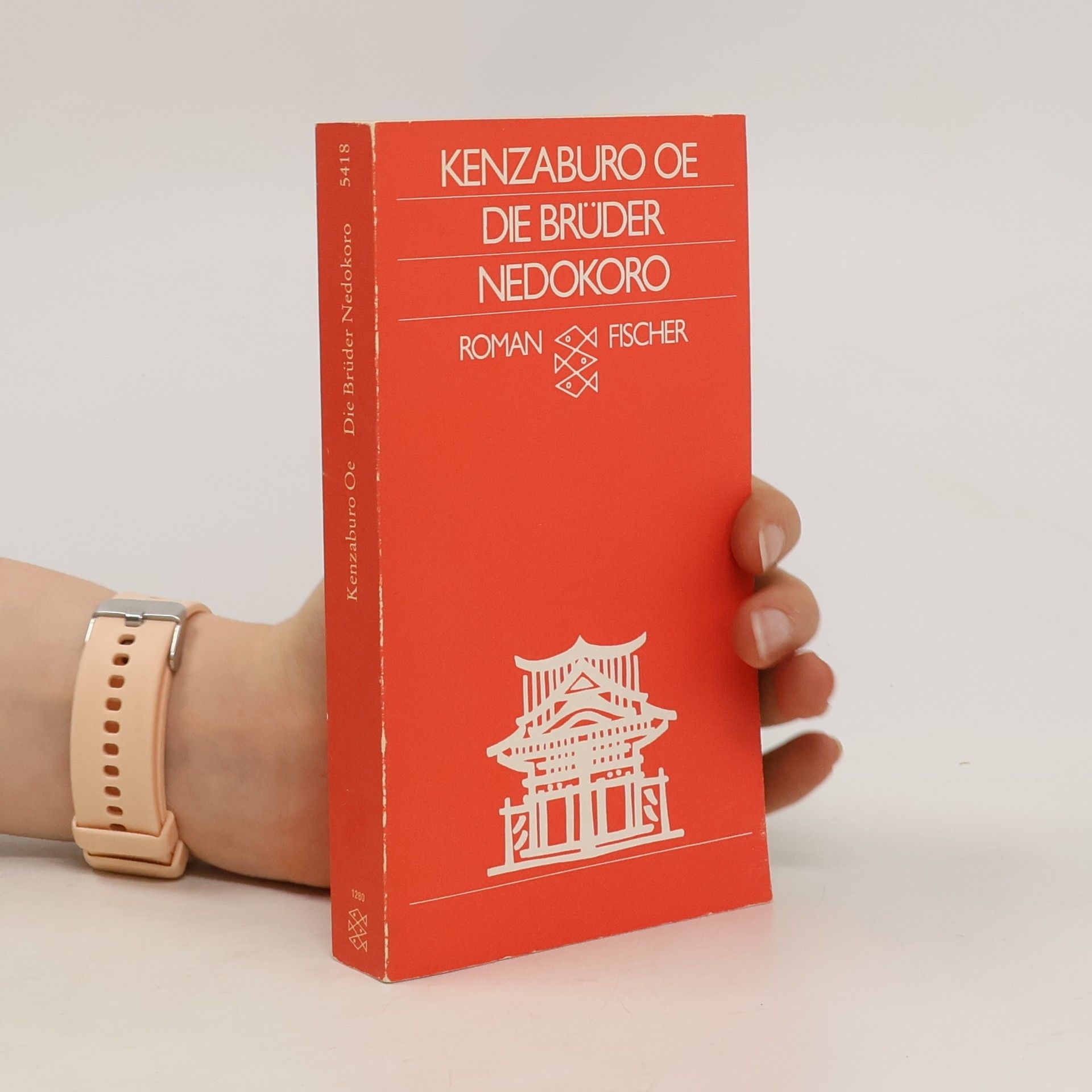 Kenzaburō Ōe Die Brüder Nedokoro