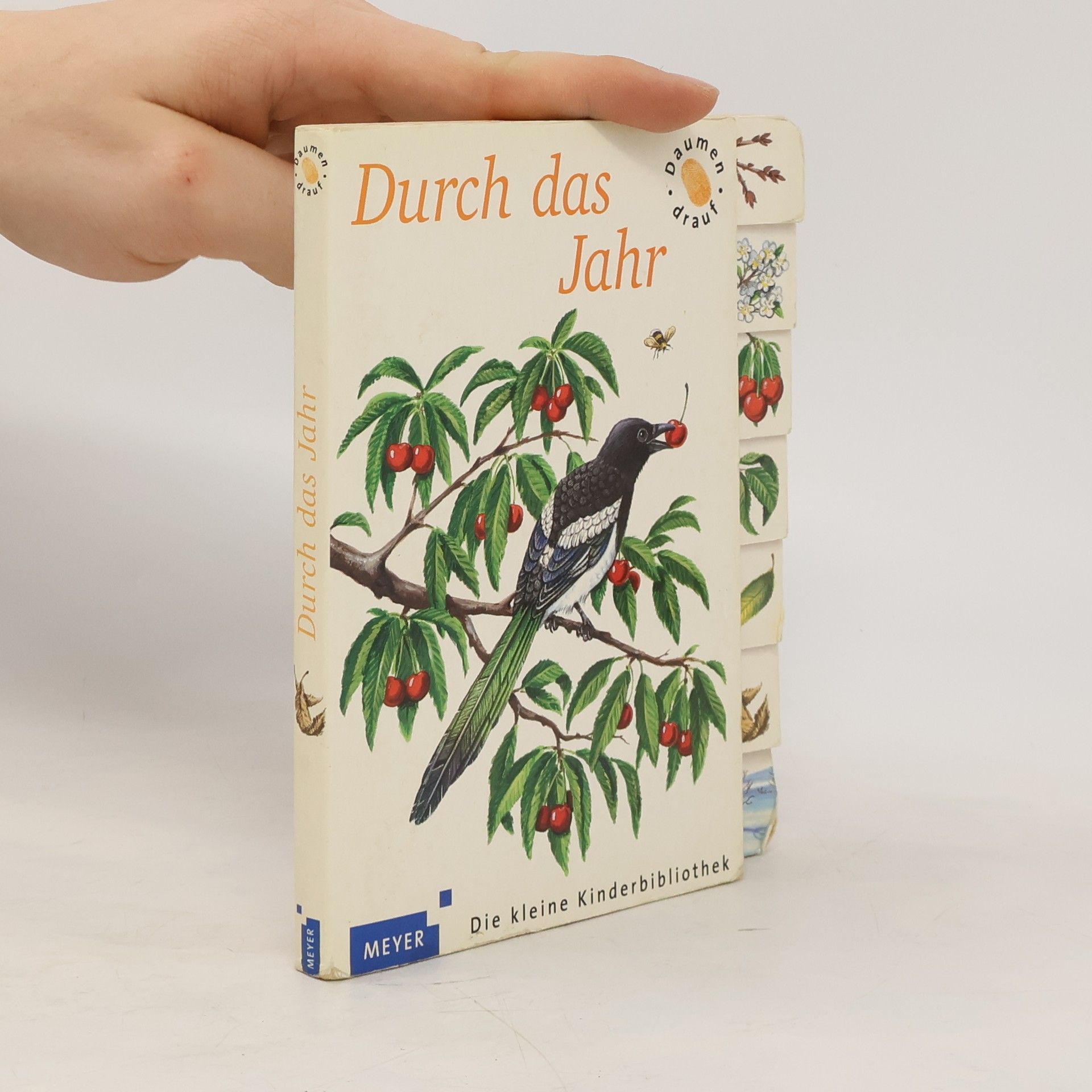 Autorenkollektiv Durch das Jahr