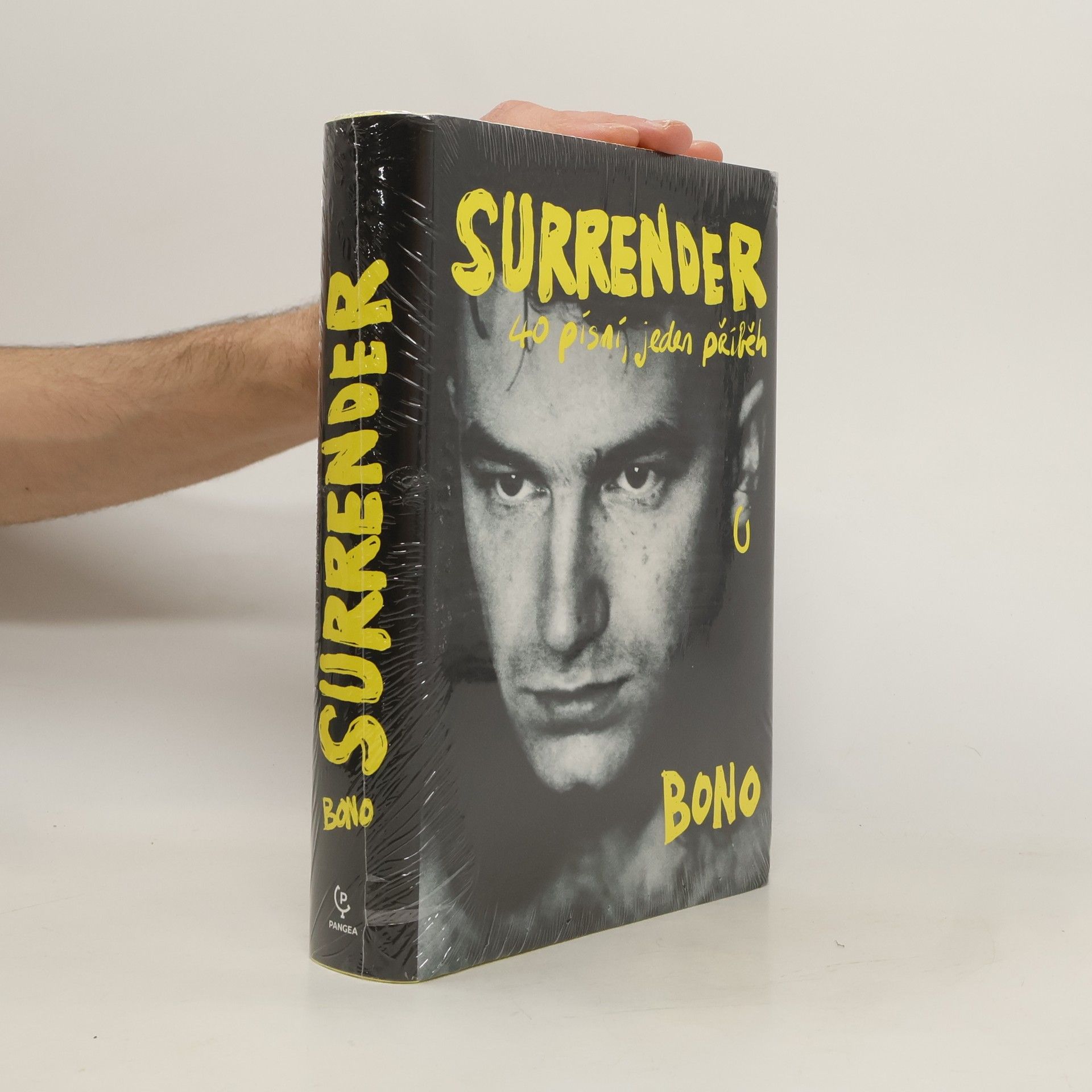 Bono Surrender : 40 písní, jeden příběh