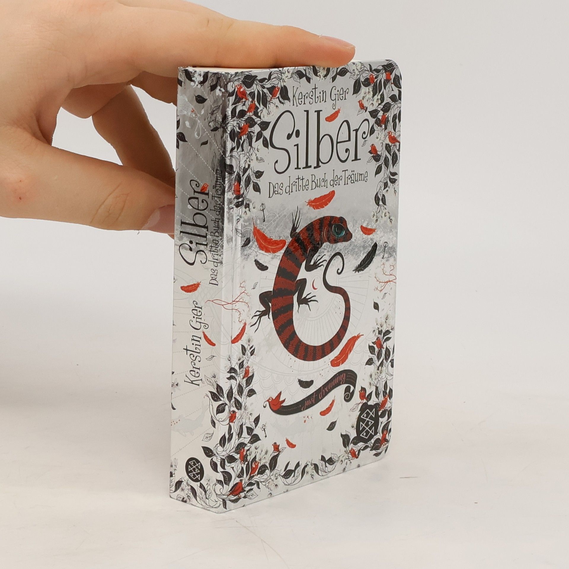 Kerstin Gier Silber - Das dritte Buch der Träume