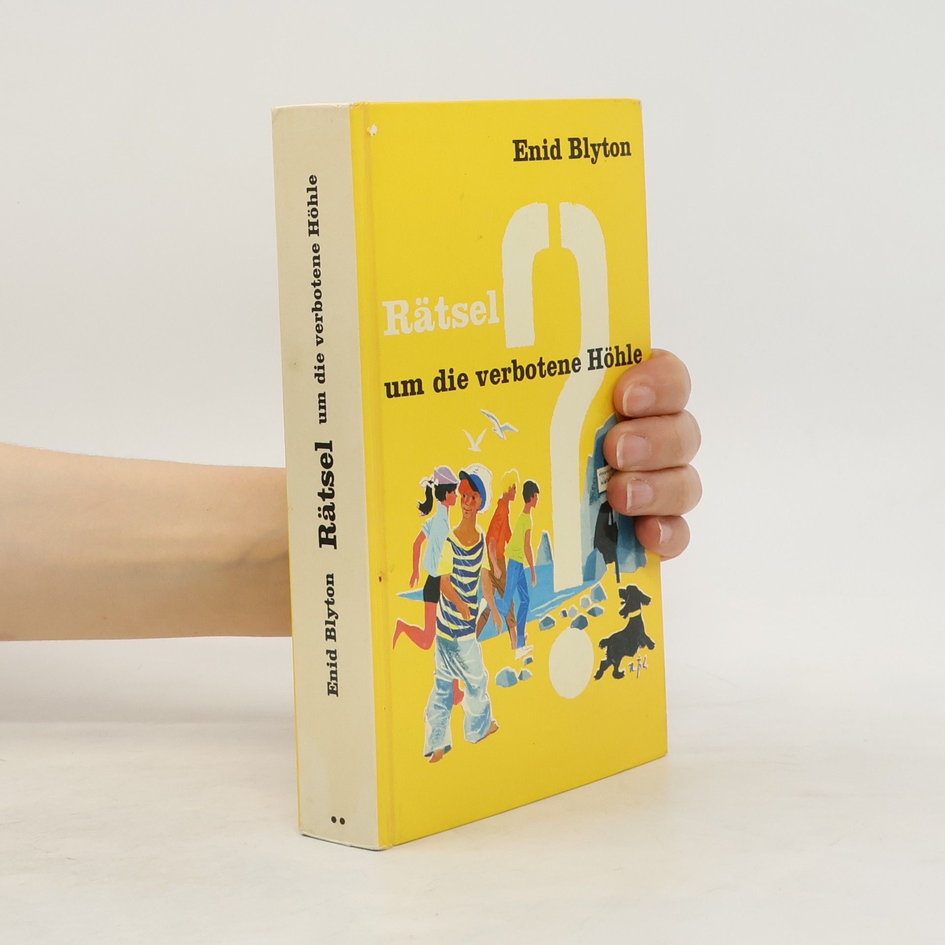Enid Blyton Rätsel um die verbotene Höhle