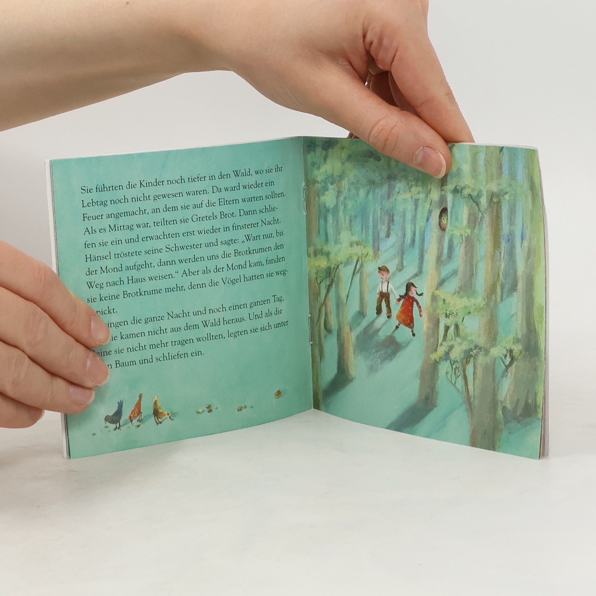 kolektiv Hänsel und Gretel