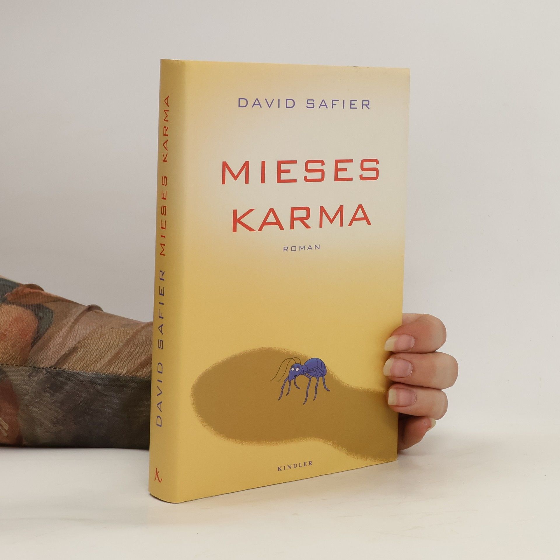 David Safier Mieses Karma