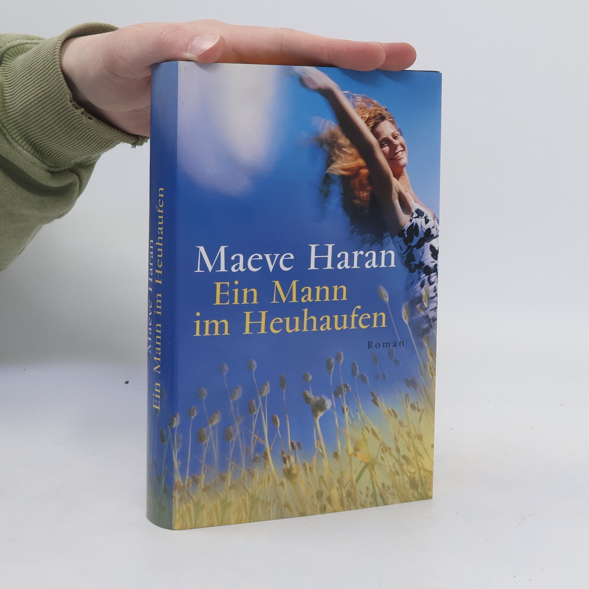 Maeve Haran Ein Mann im Heuhaufen
