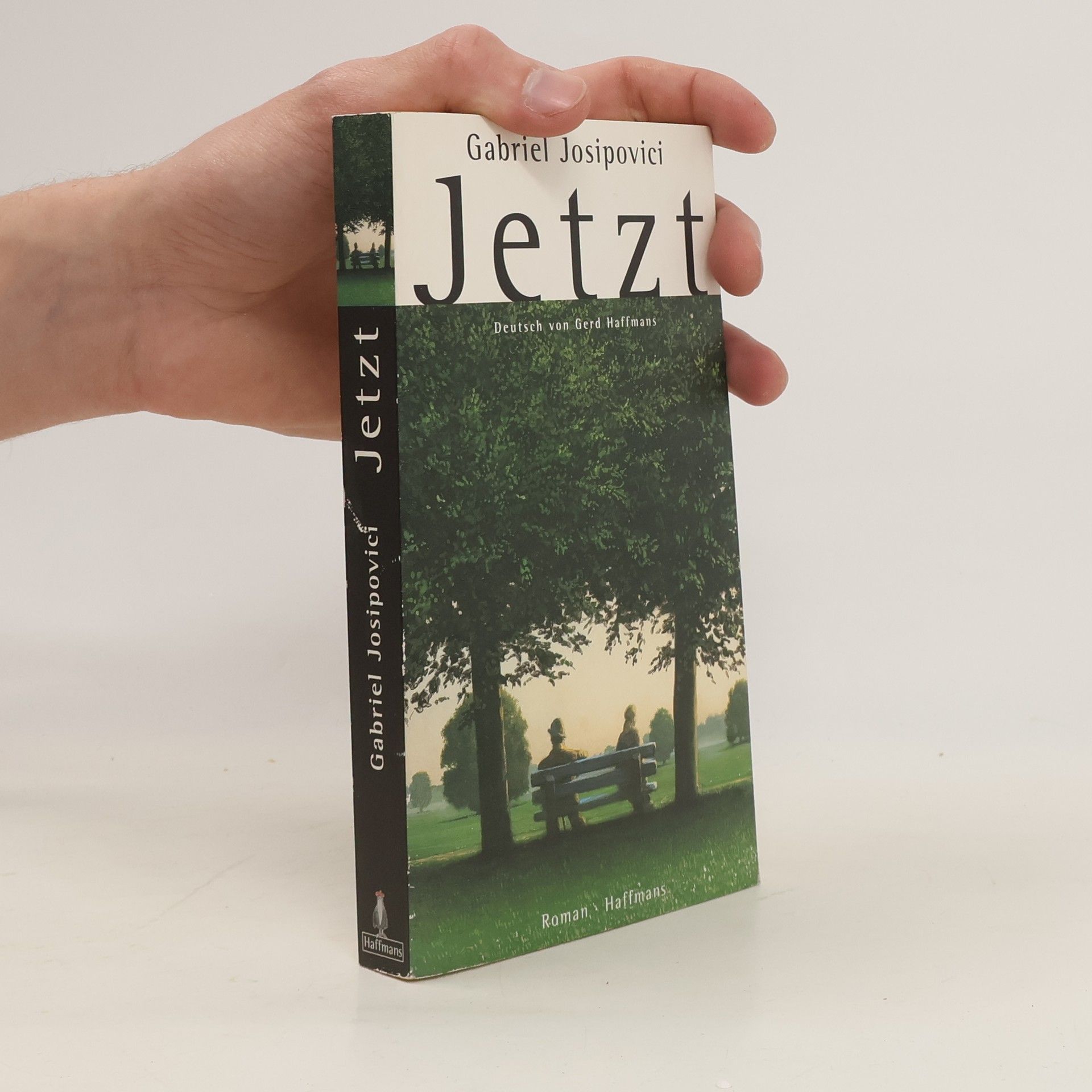 Gabriel Josipovici Jetzt