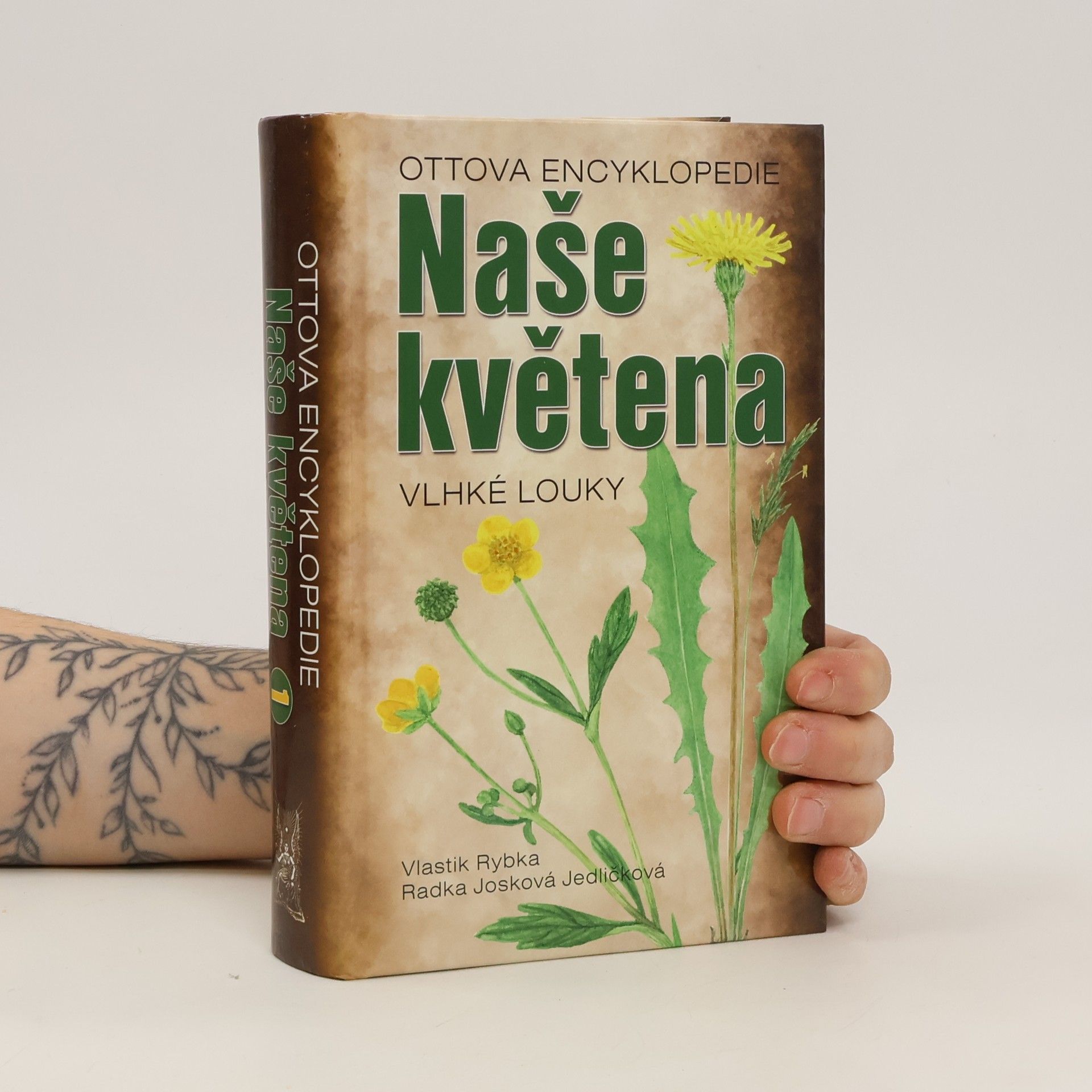 Vlastík Rybka Naše květena - Vlhké Louky