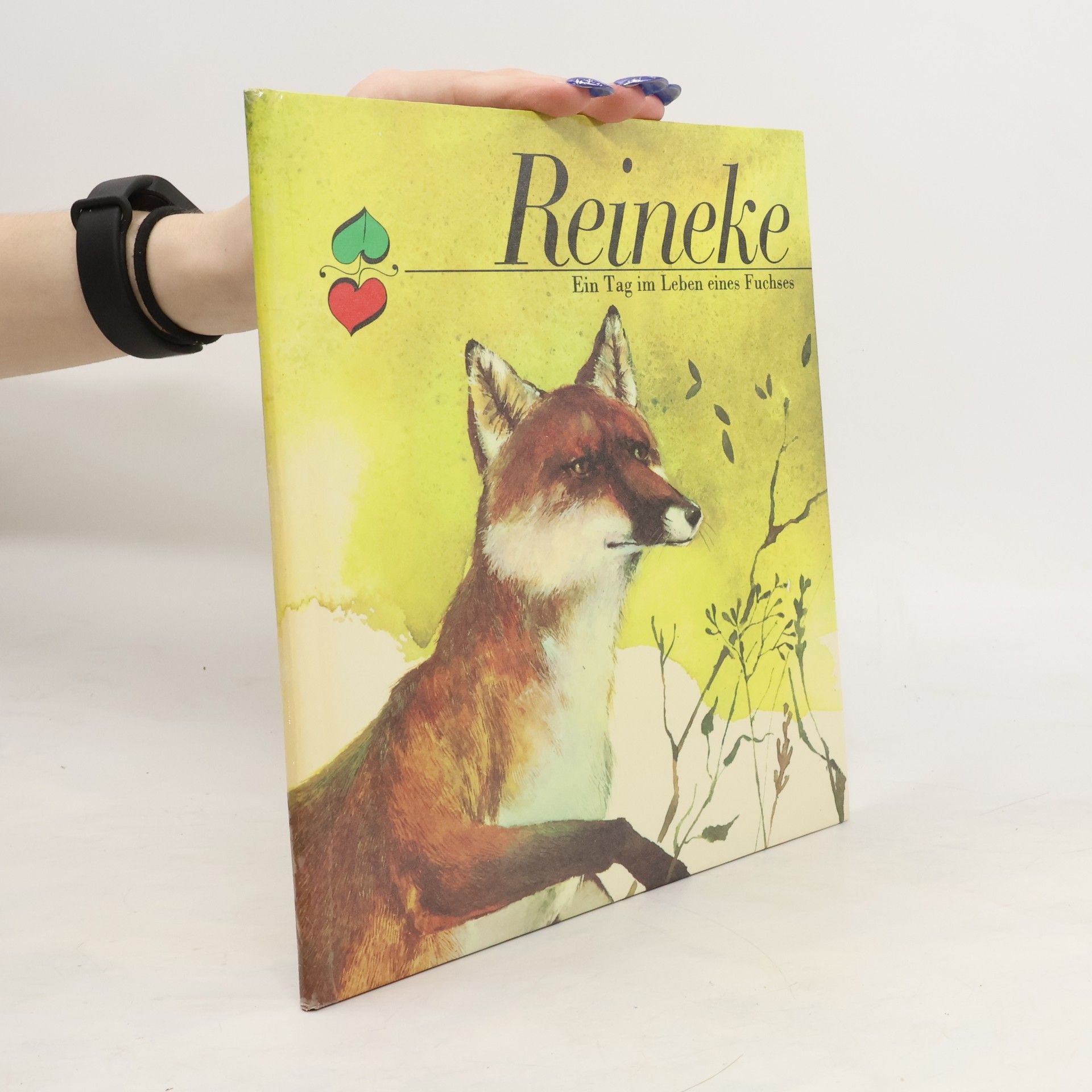 Autorenkollektiv Reineke: Ein Tag im Leben eines Fuchses