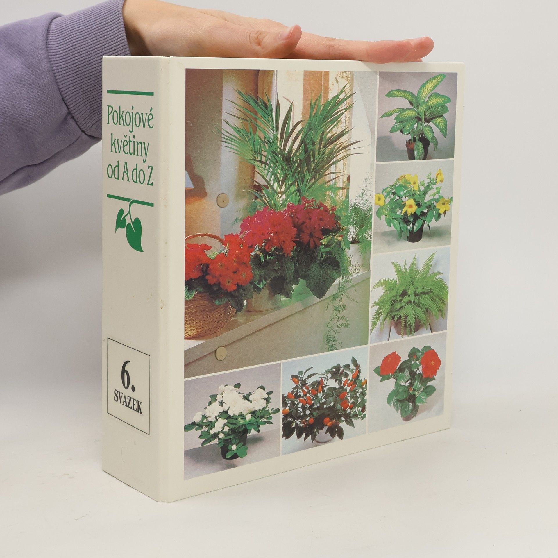 AA.VV. Pokojové květiny od A do Z. Kapitola 1-6