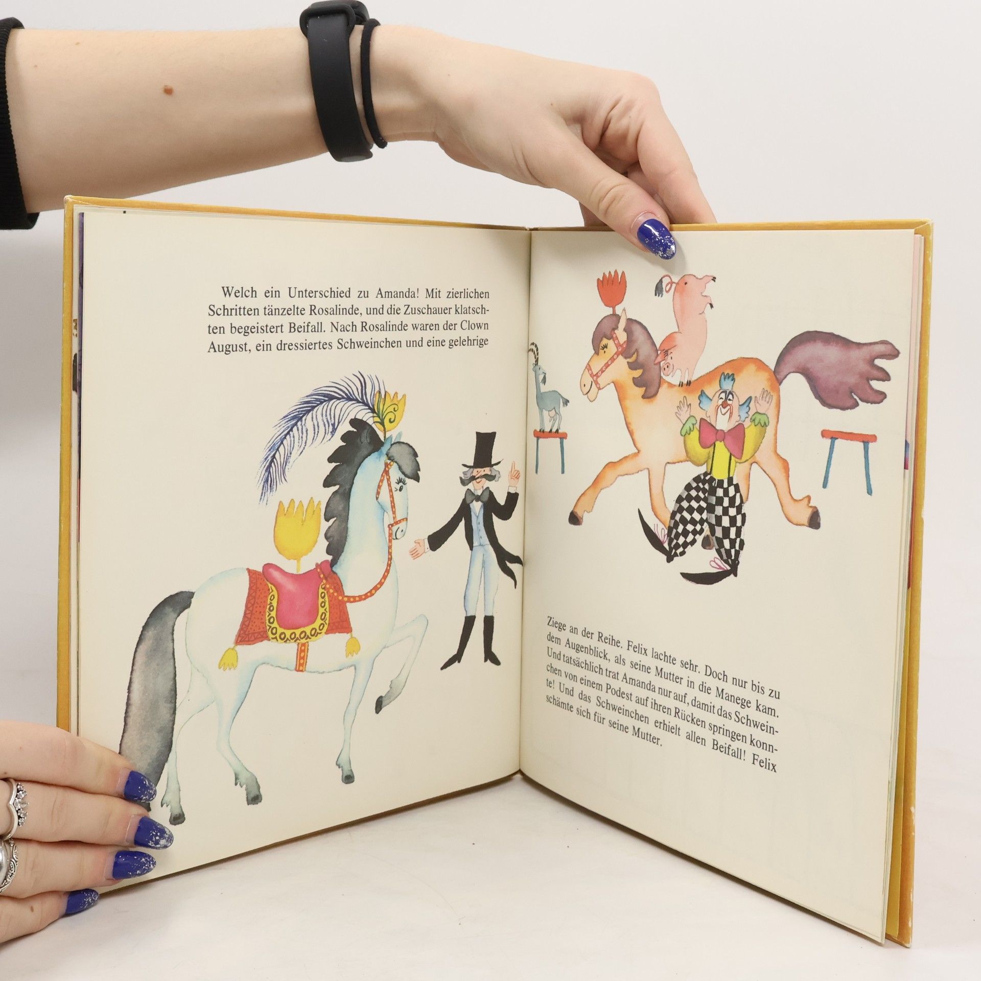 kolektiv Das bunte Buch