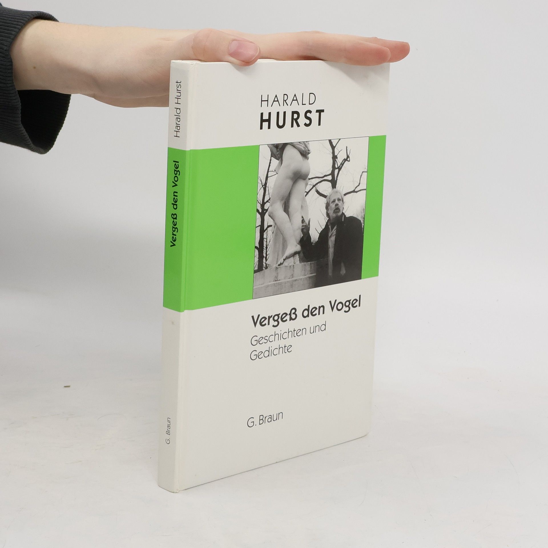 Harald Hurst Vergess den Vogel. Geschichten und Gedichte