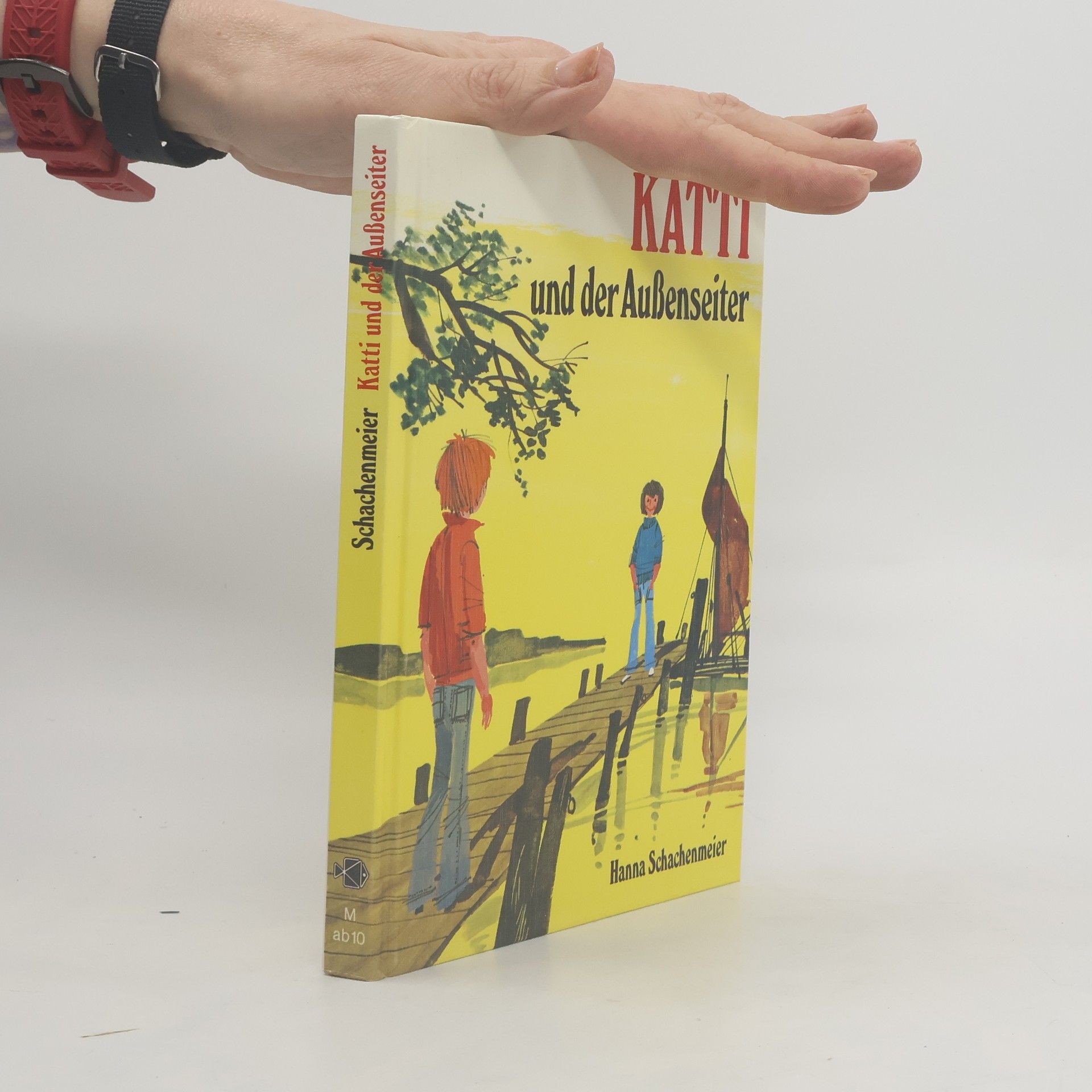 Hanna Schachenmeier Katti und der Außenseiter