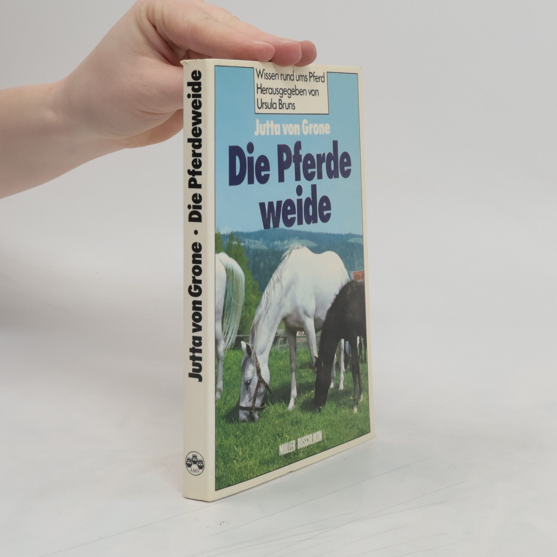Jutta von Grone Die Pferdeweide