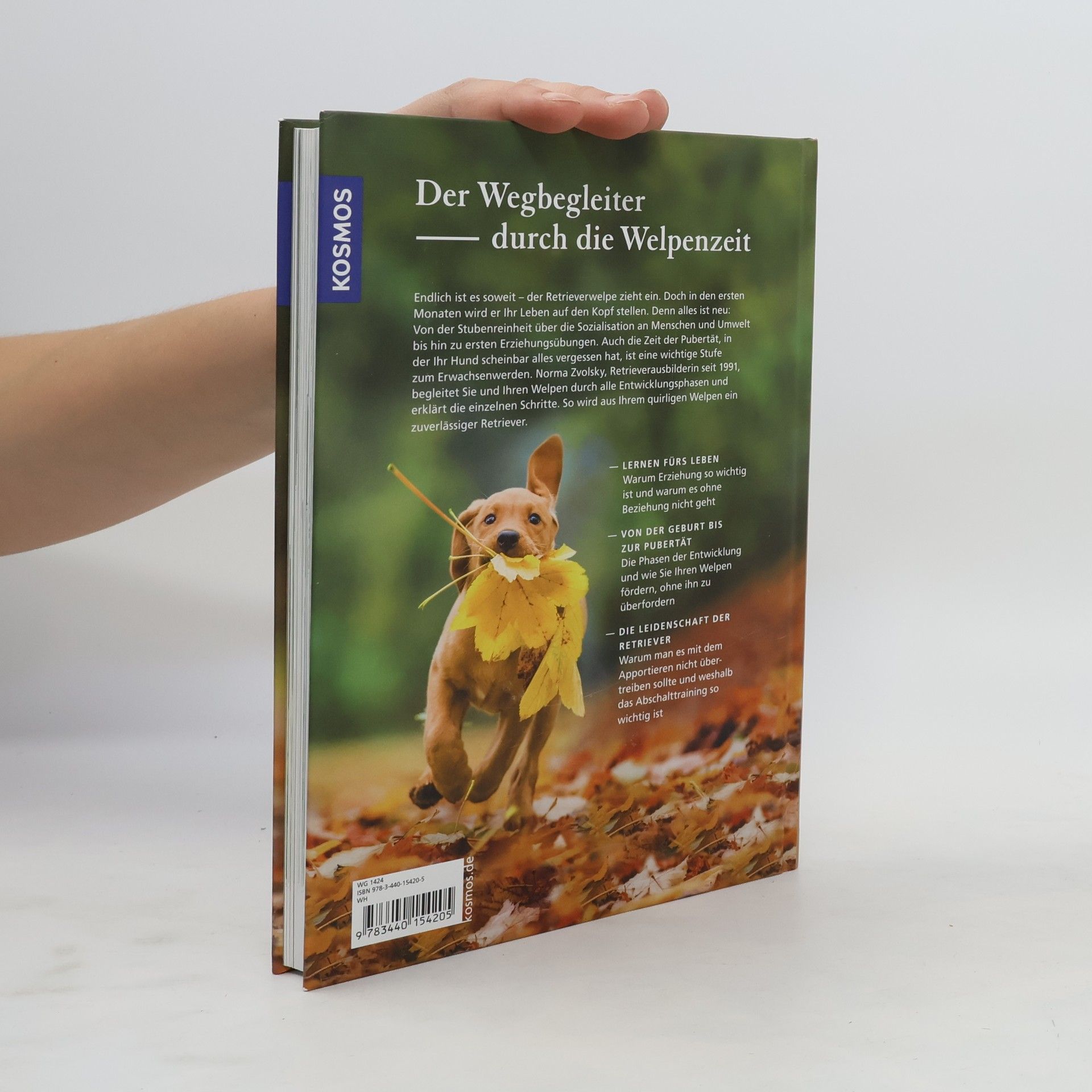 Norma Zvolsky Retriever-Schule für Welpen