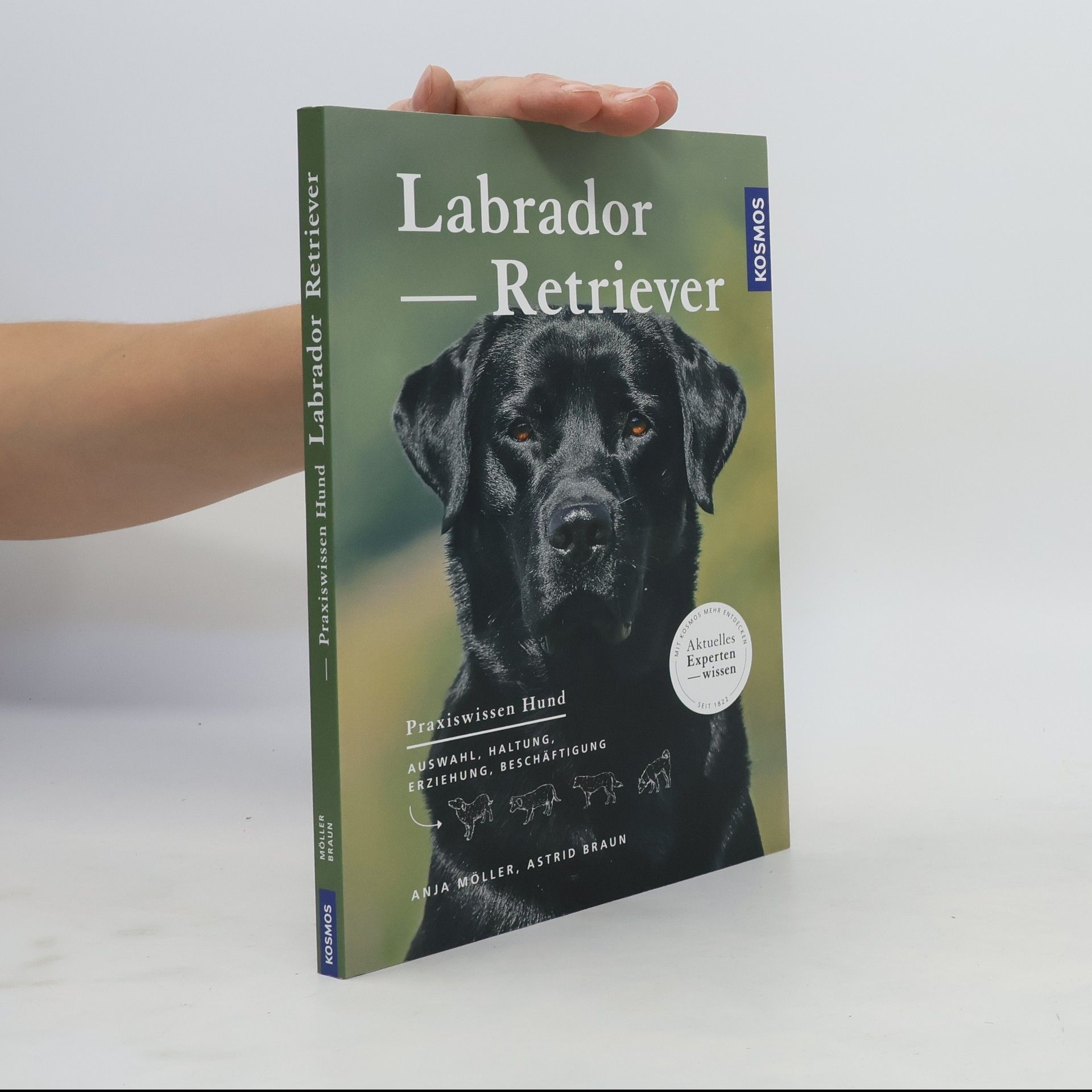 Anja Möller Labrador Retriever