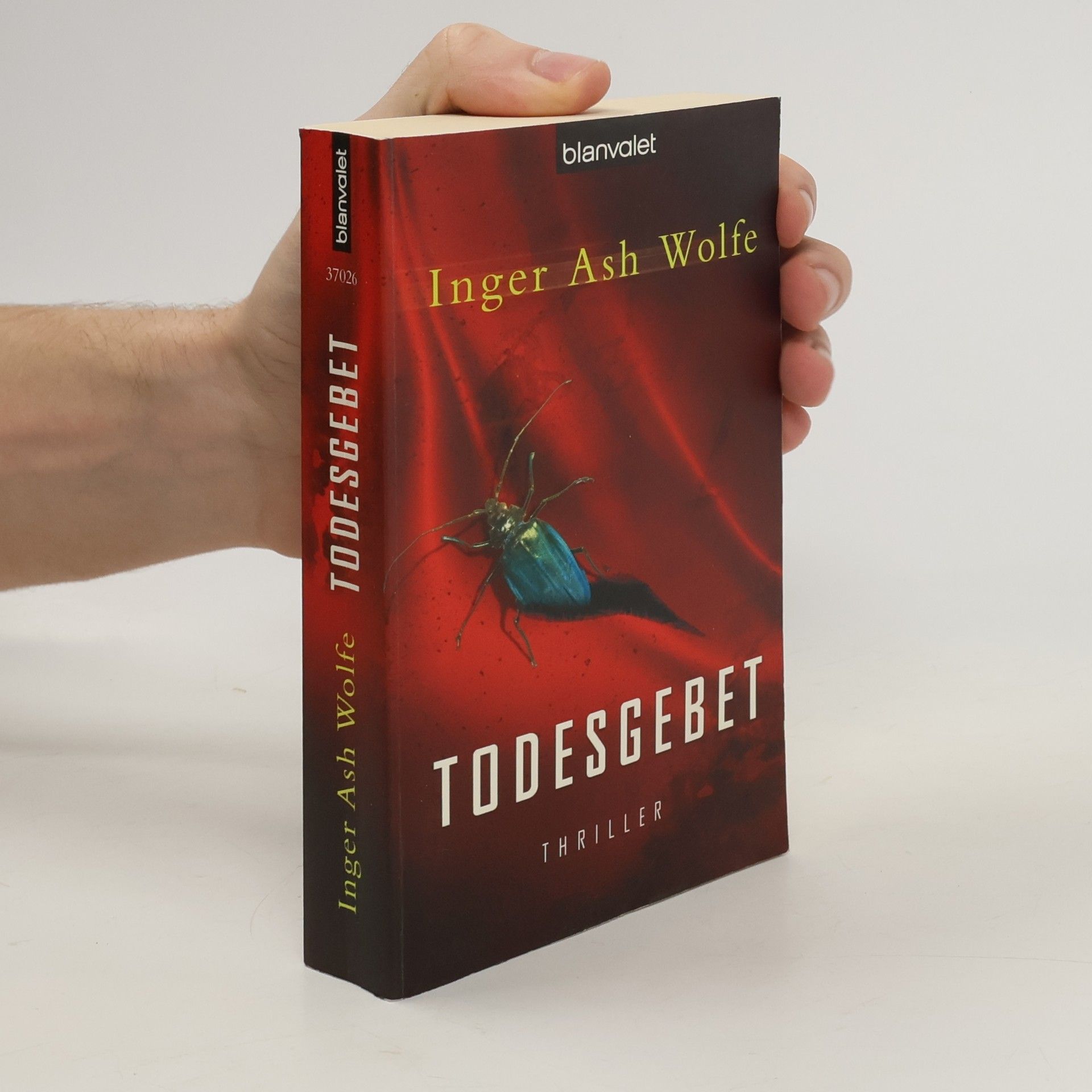 Inger Ash Wolfe Todesgebet