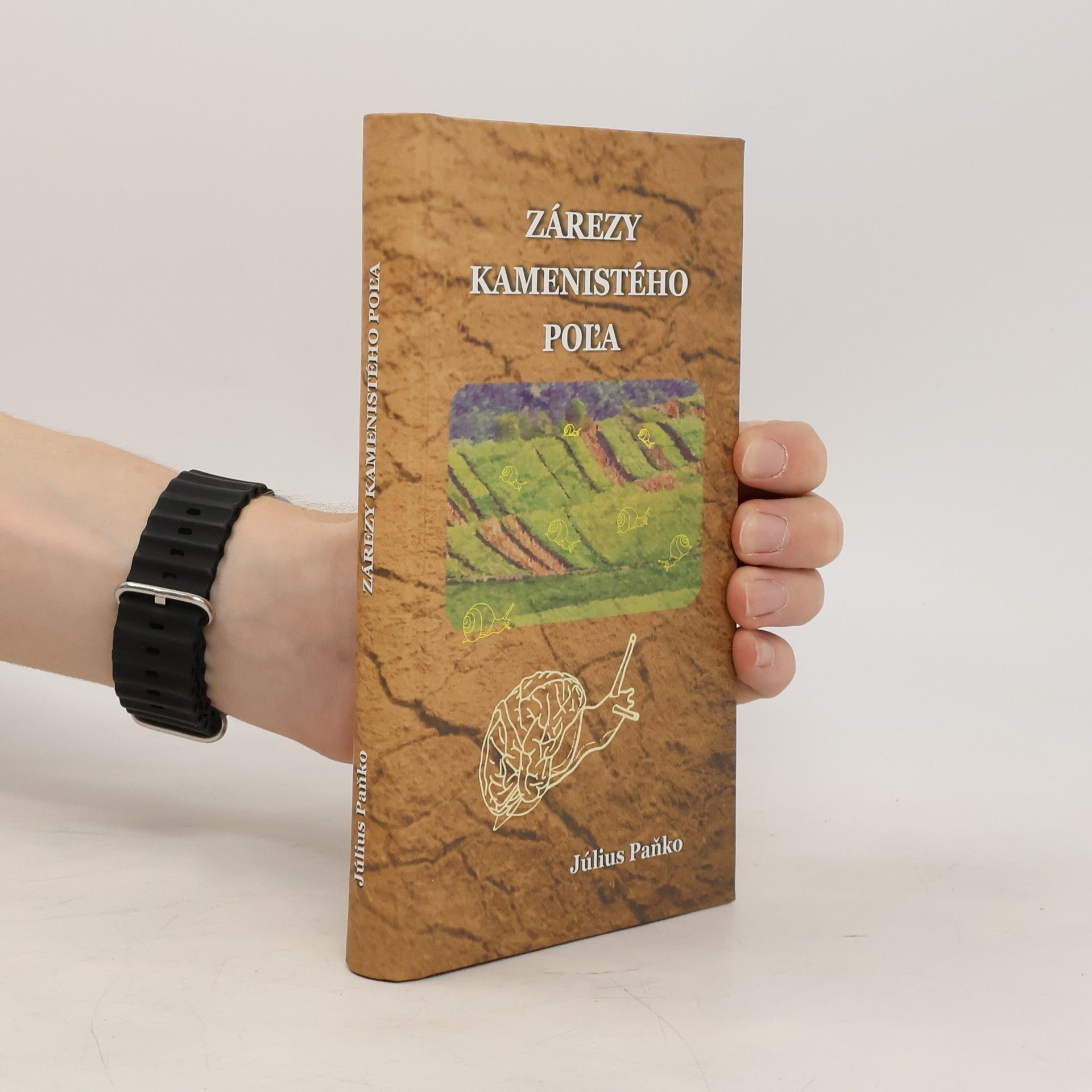 Július Paňko Zárezy kamenistého poľa