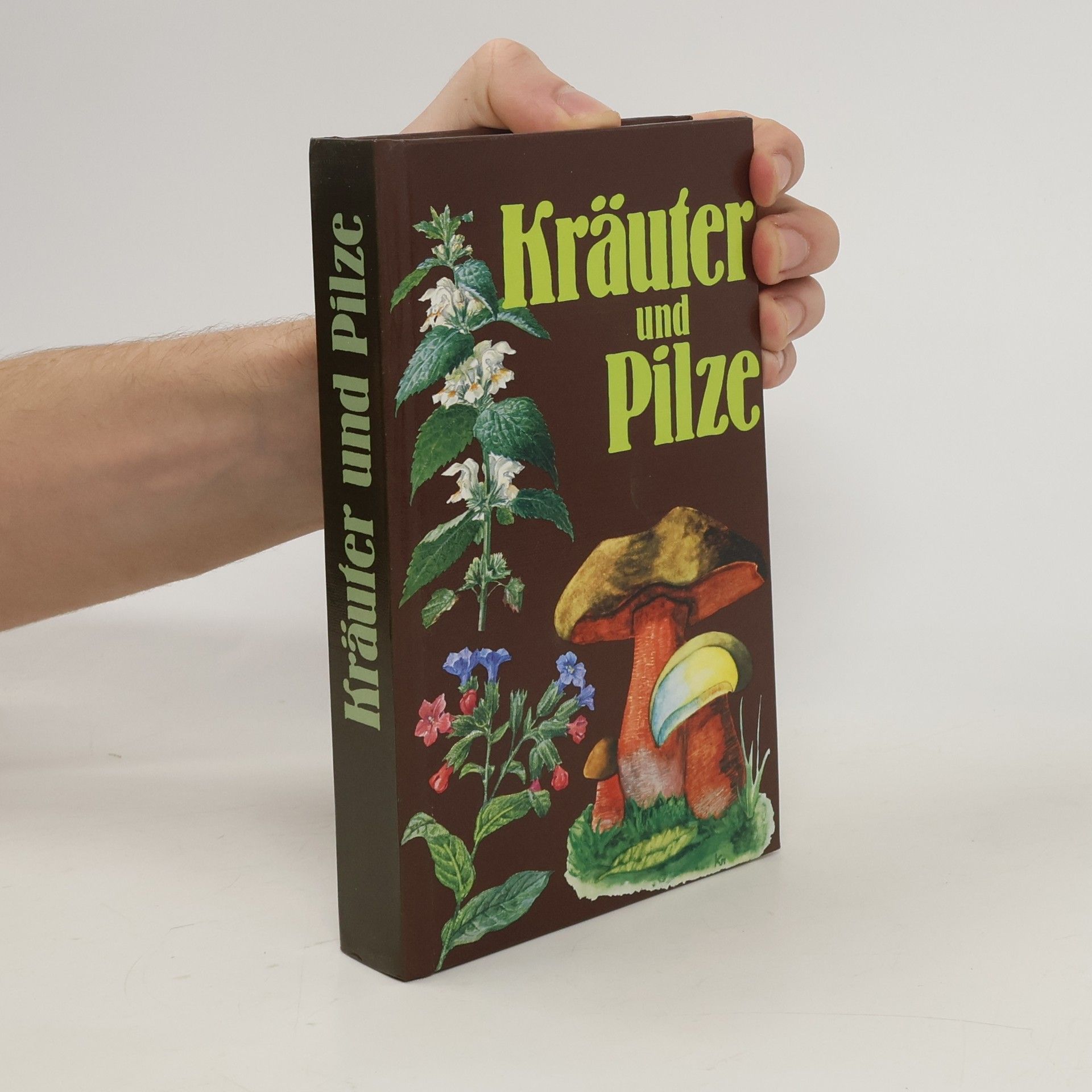Autorenkollektiv Kräuter und Pilze