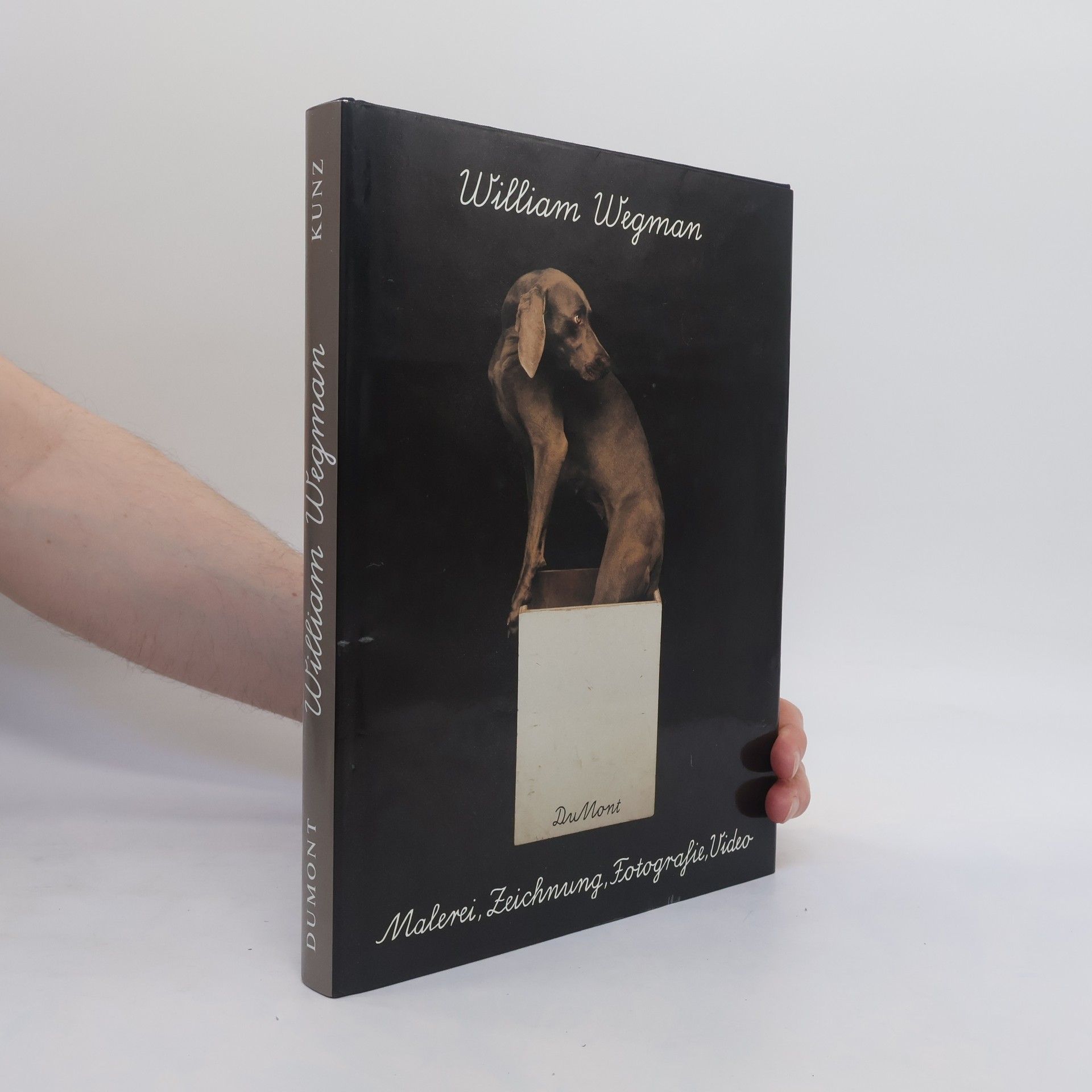 William Wegman Malerei, Zeichnung, Fotografie, Video