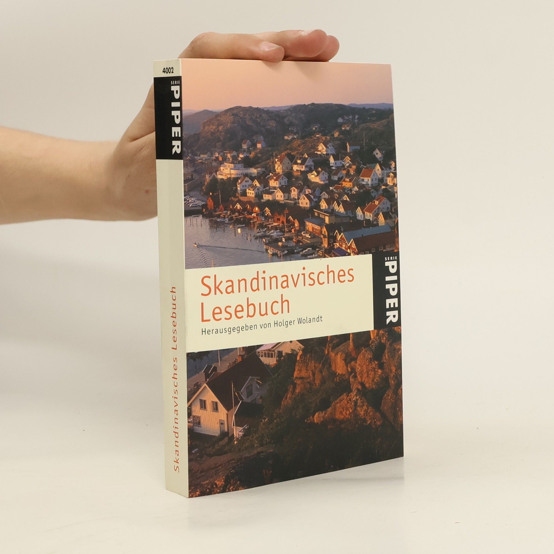 Holger Wolandt Skandinavisches Lesebuch