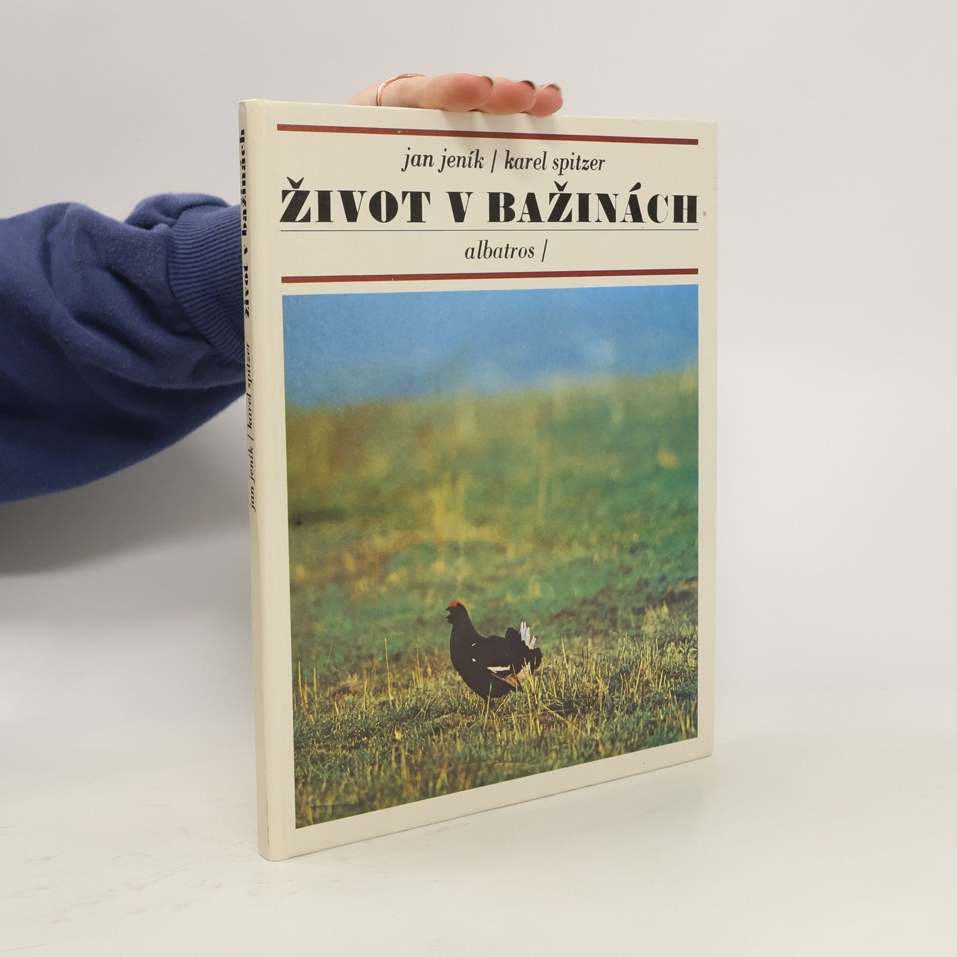 Jan Jeník Život v bažinách