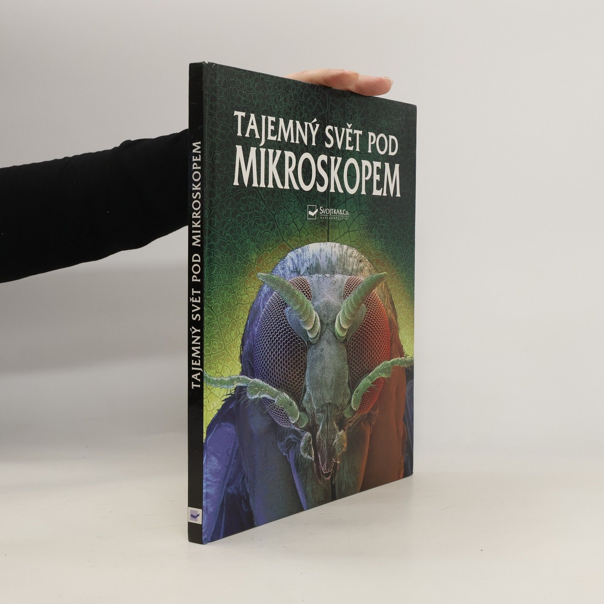 Kirsteen Rogers Tajemný svět pod mikroskopem