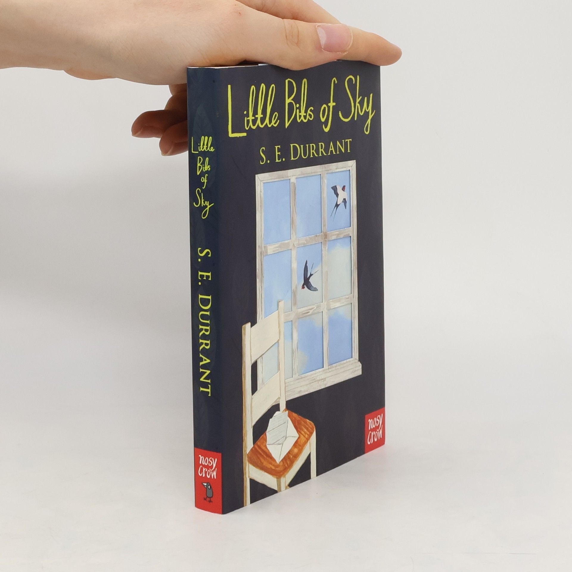 S. E. Durrant Little Bits of Sky