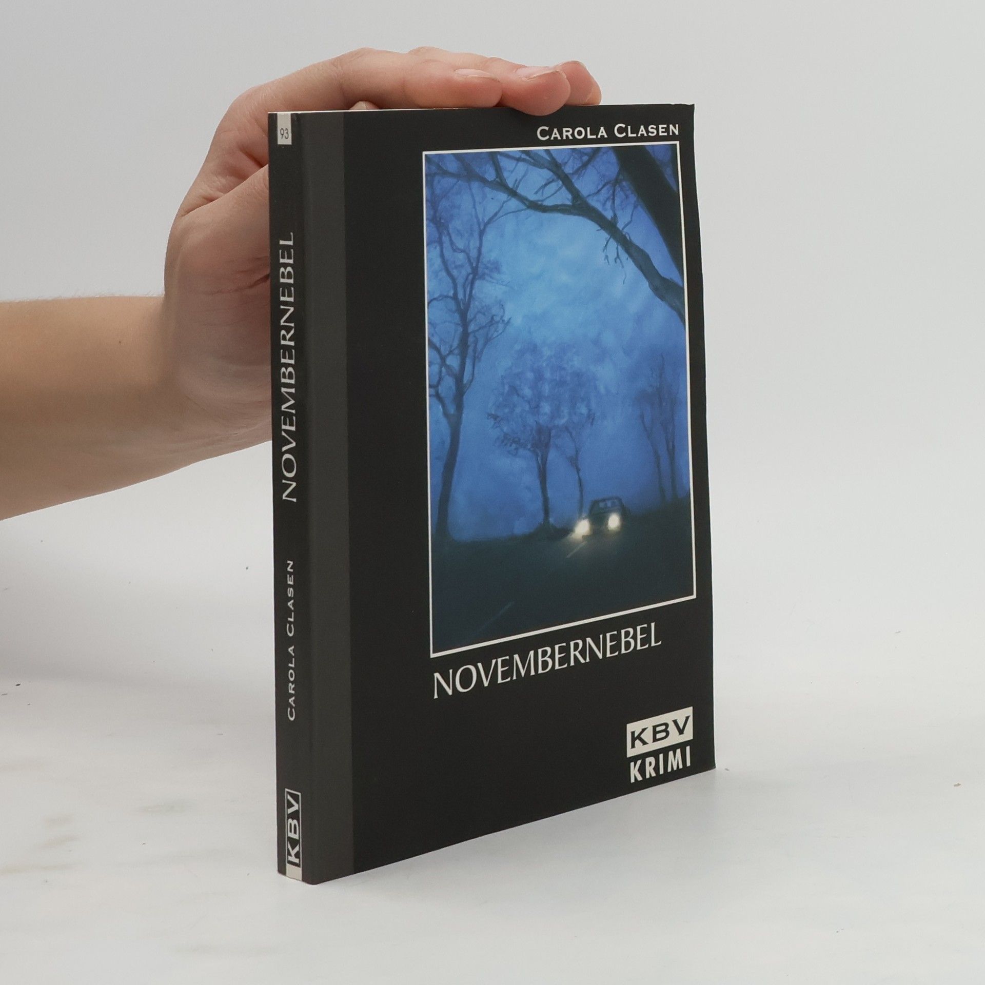 Carola Clasen Novembernebel
