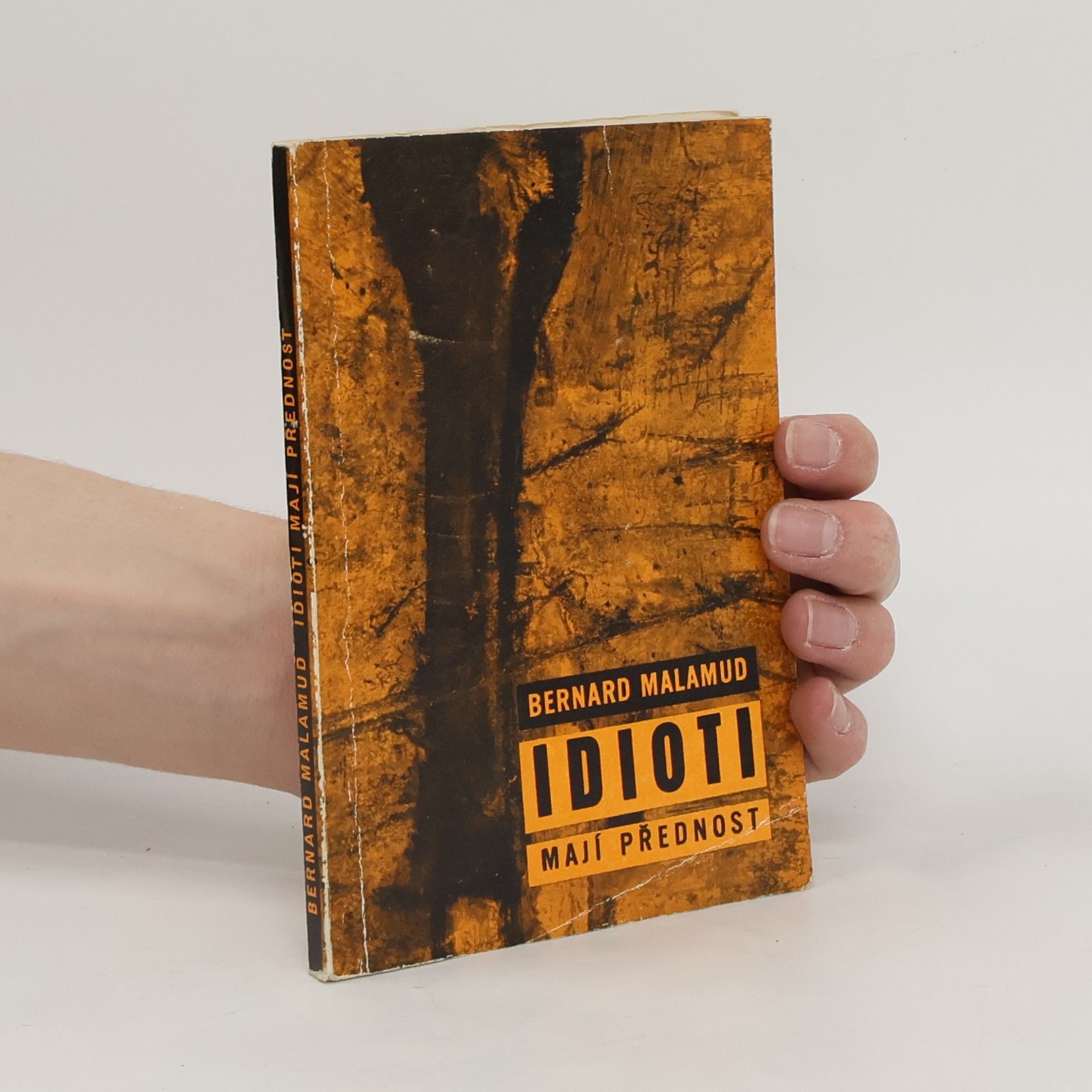 Bernard Malamud Idioti mají přednost